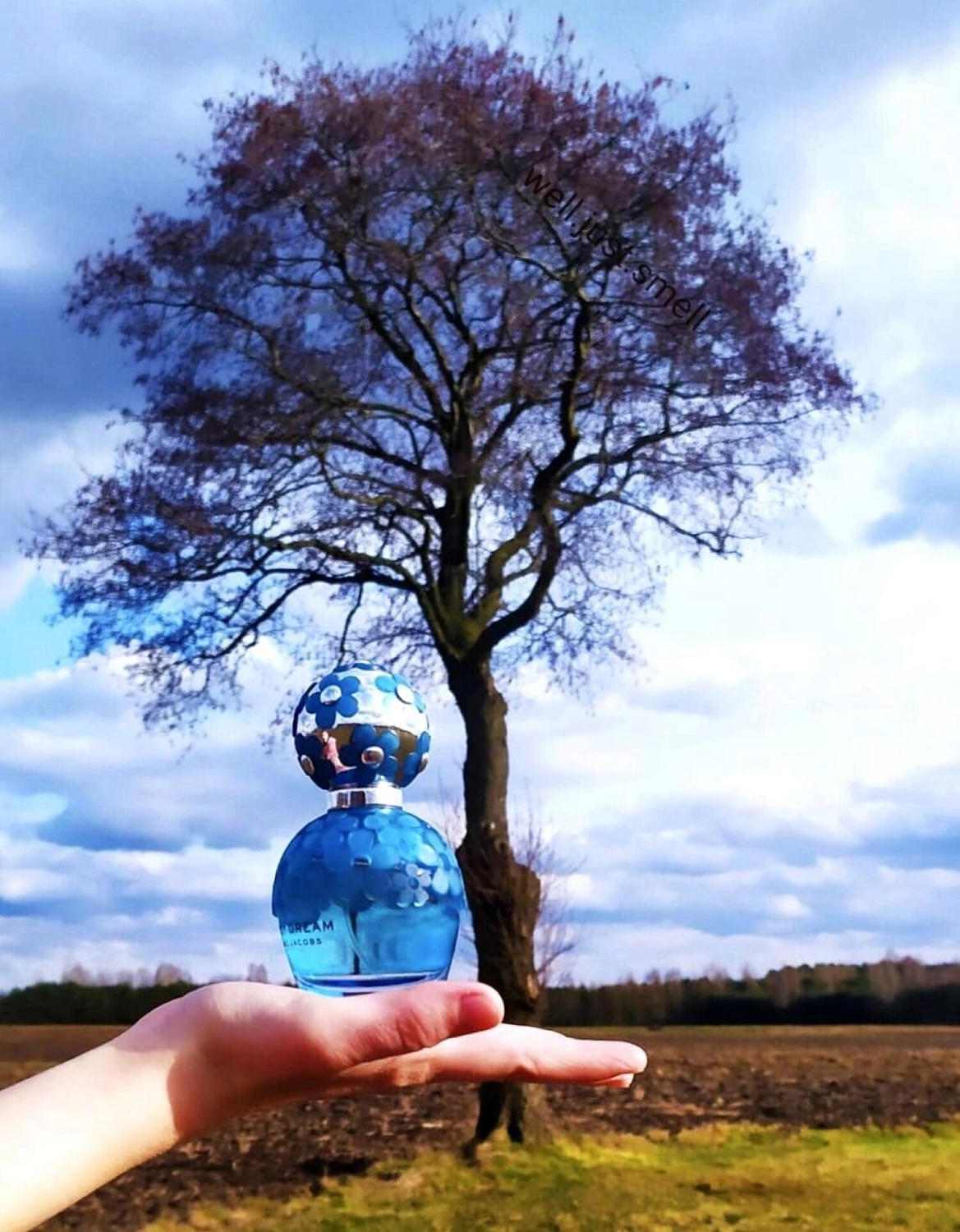 Marc Jacobs Daisy Dream Forever