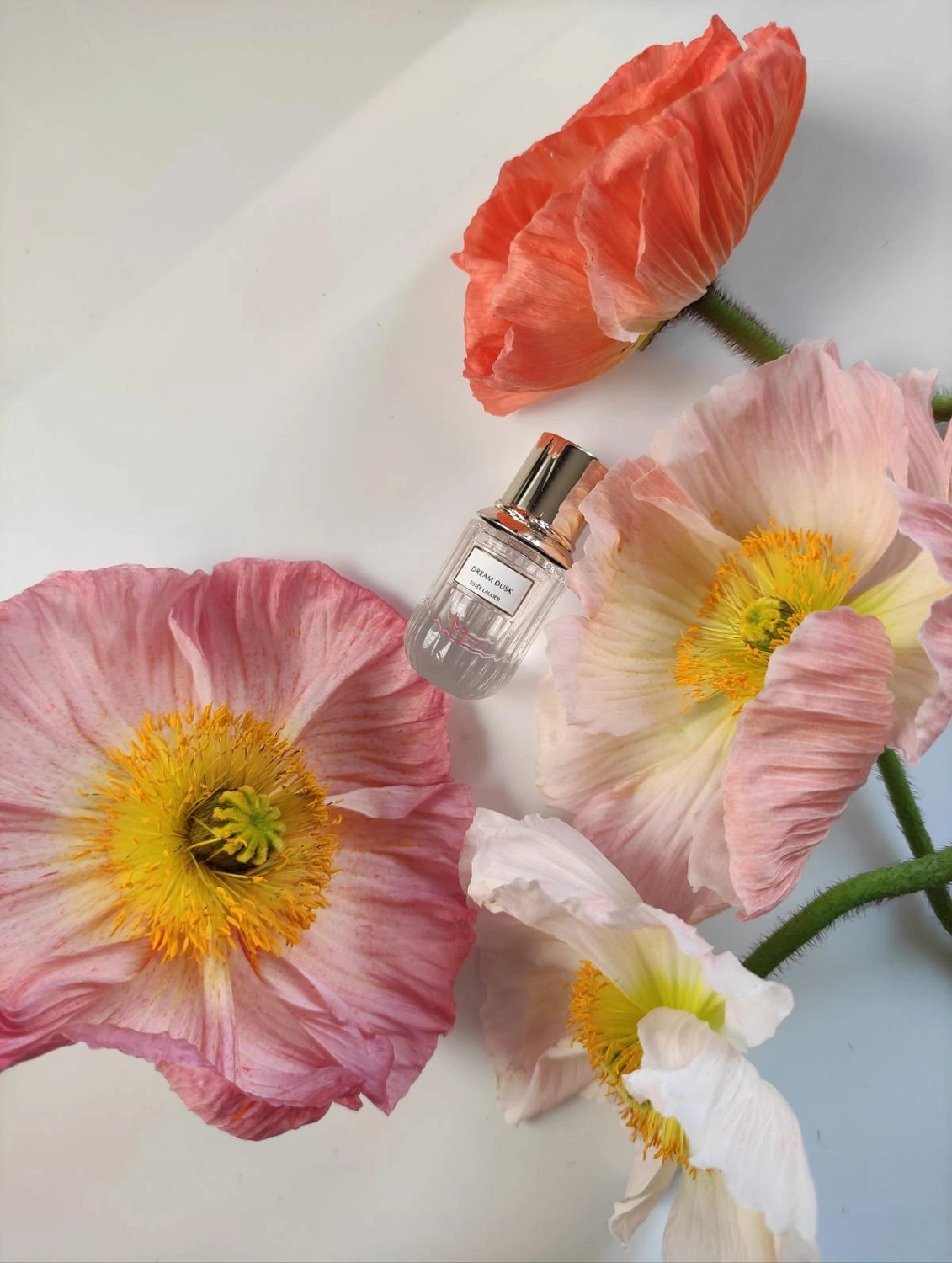 Estee Lauder Dream Dusk Estee Lauder Dream Dusk