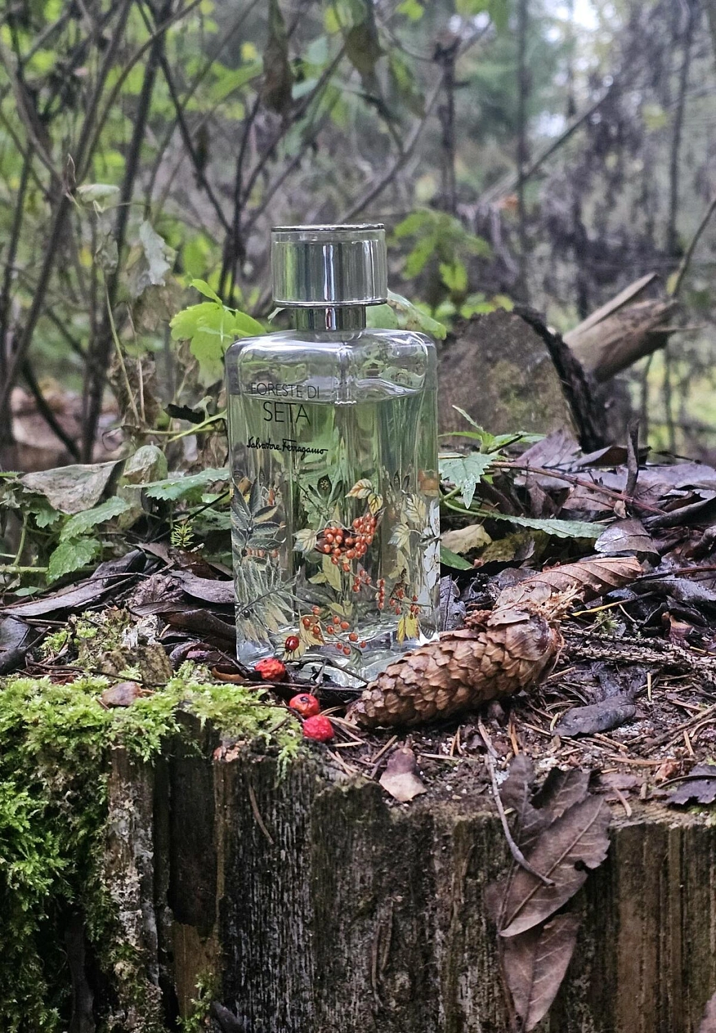 Salvatore Ferragamo Foreste di Seta