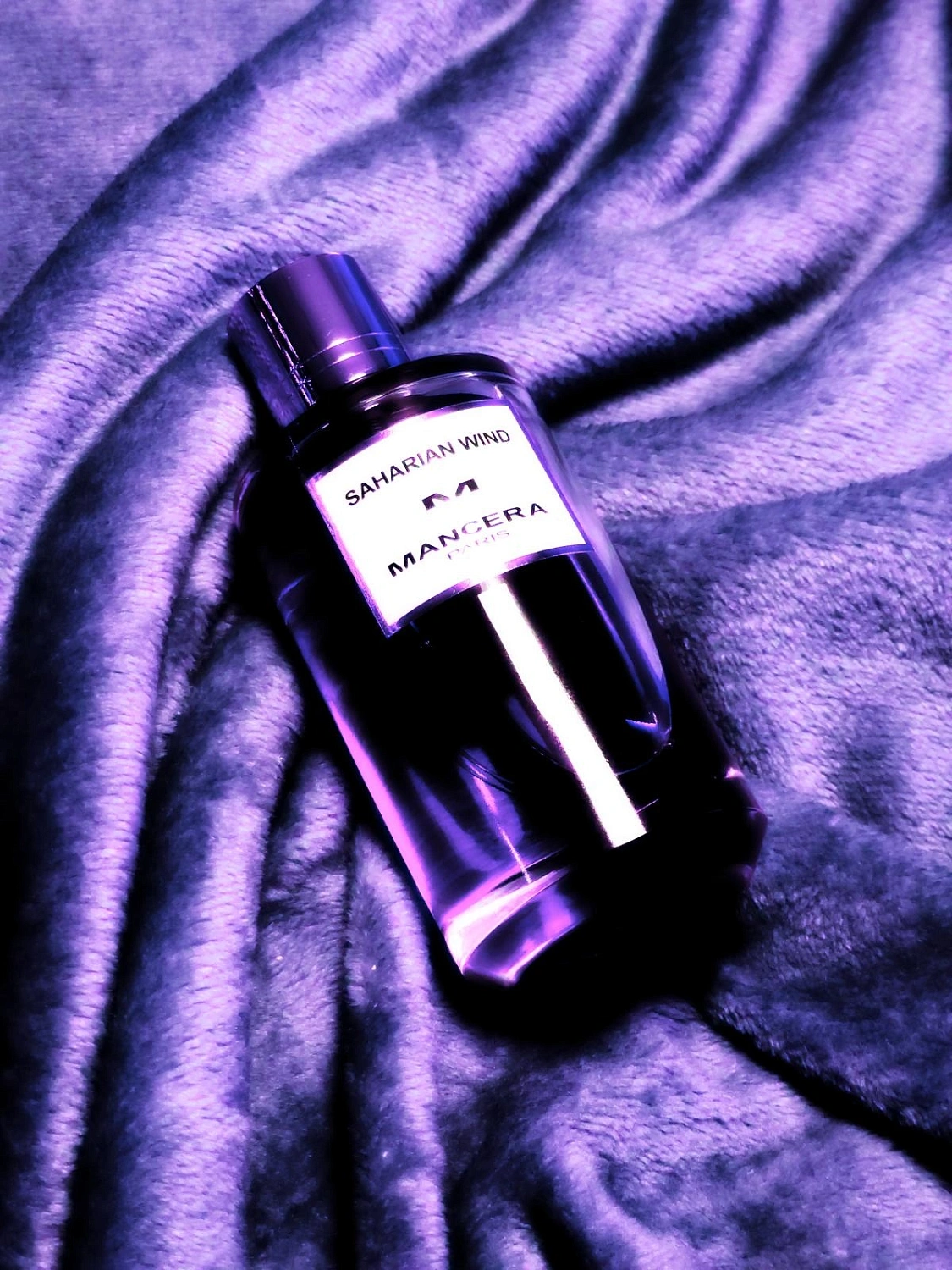 Mancera Saharian Wind