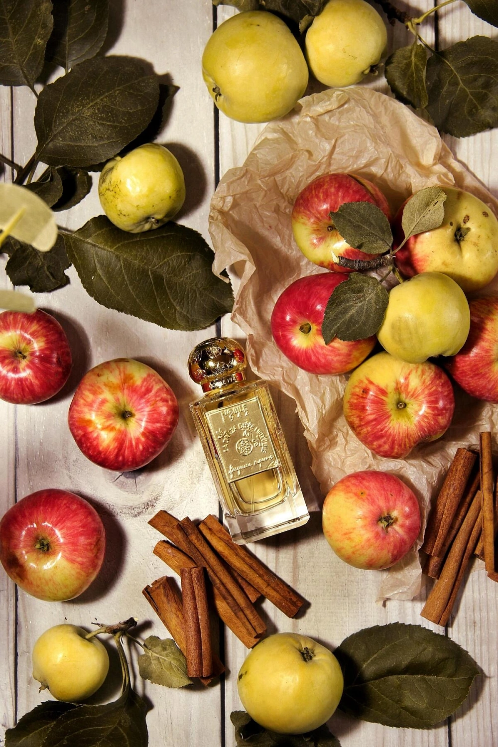 Nobile 1942 La Danza delle Libellule