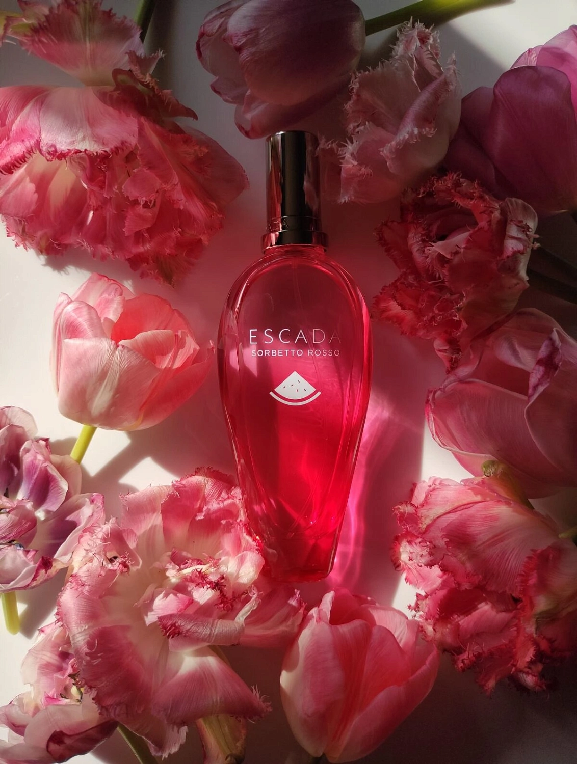 Escada Sorbetto Rosso