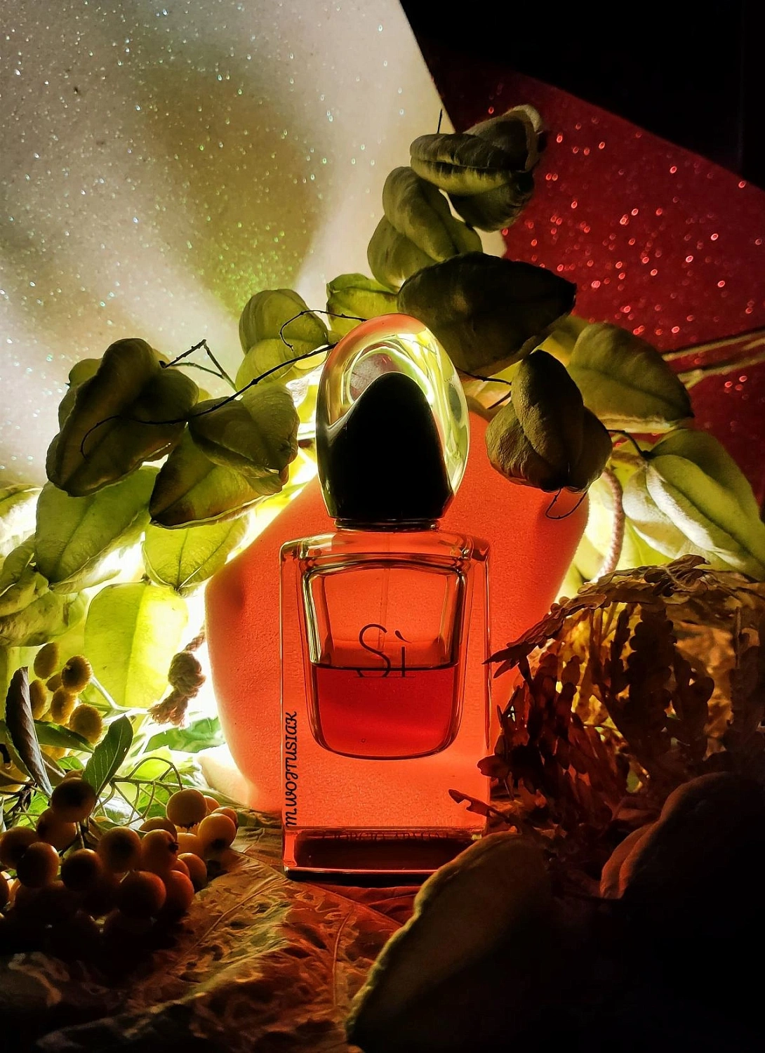 ARMANI Si Le Parfum ARMANI Si Le Parfum