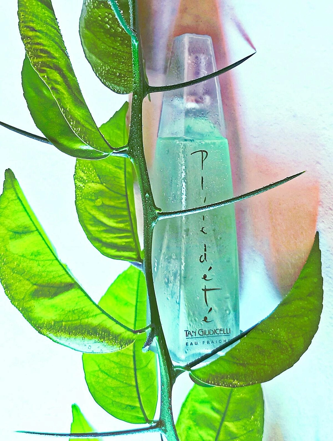 Tan Giudicelli Pluie d'Ete