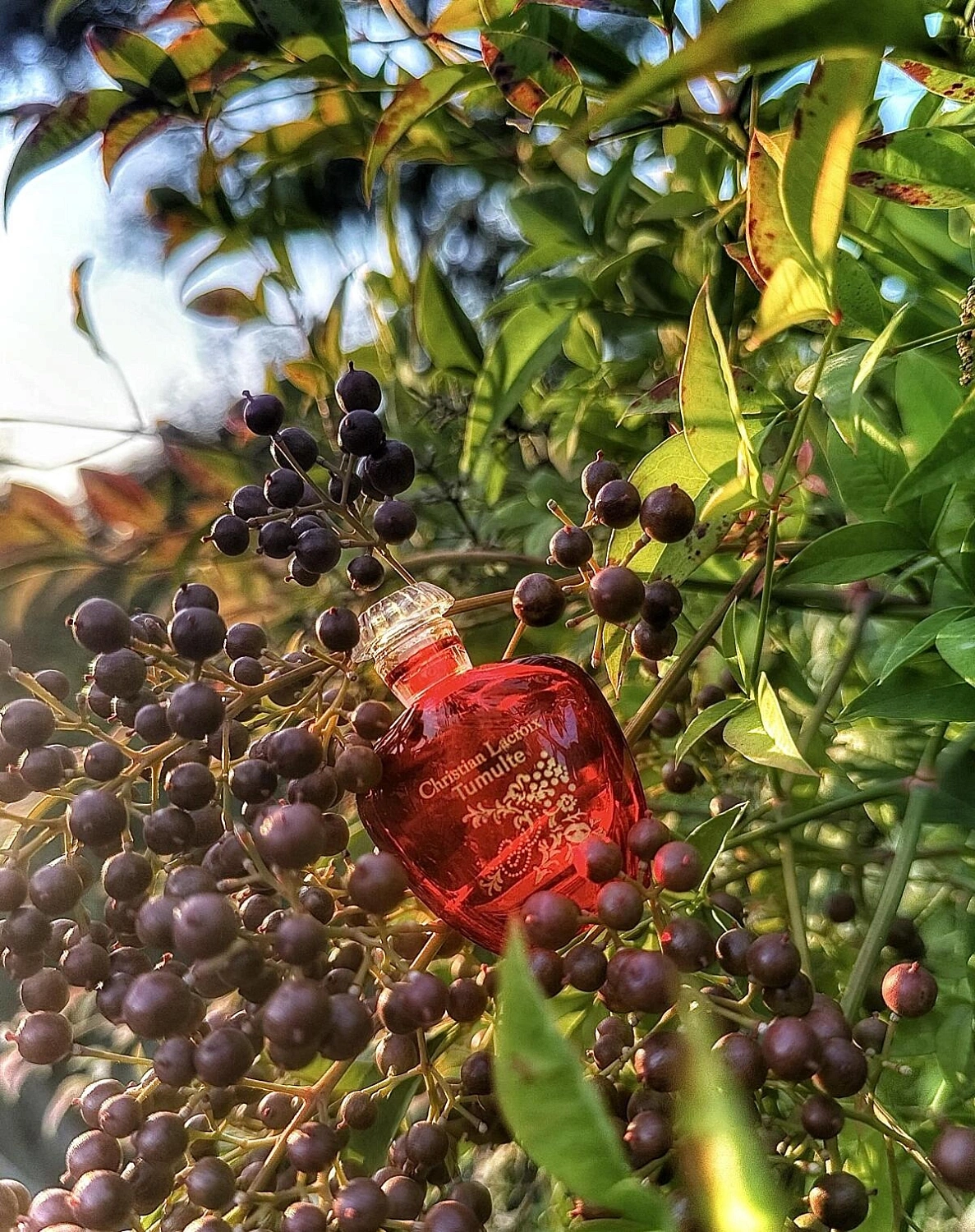 Christian Lacroix Tumulte