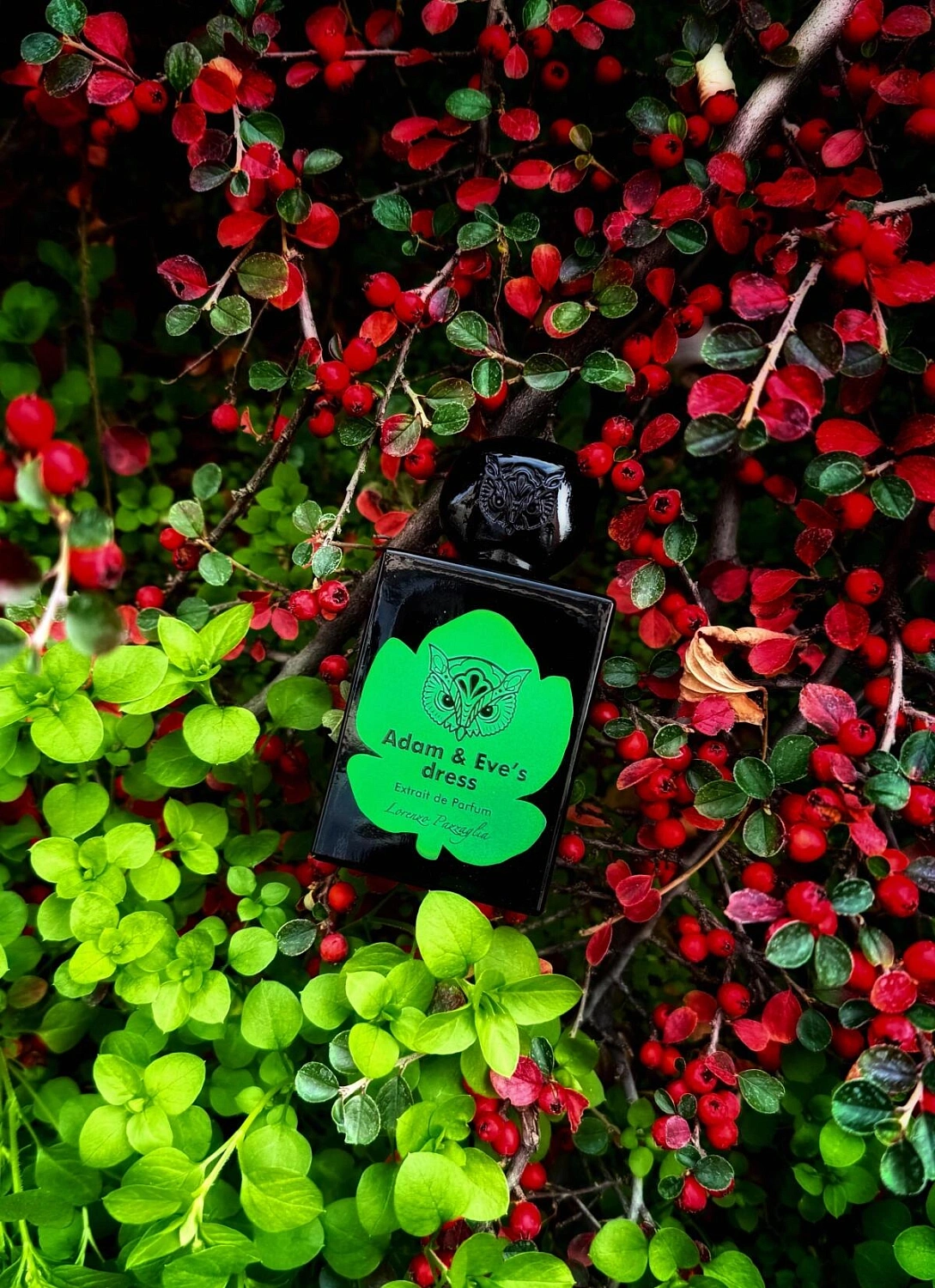 Lorenzo Pazzaglia Adam & Eve's Dress