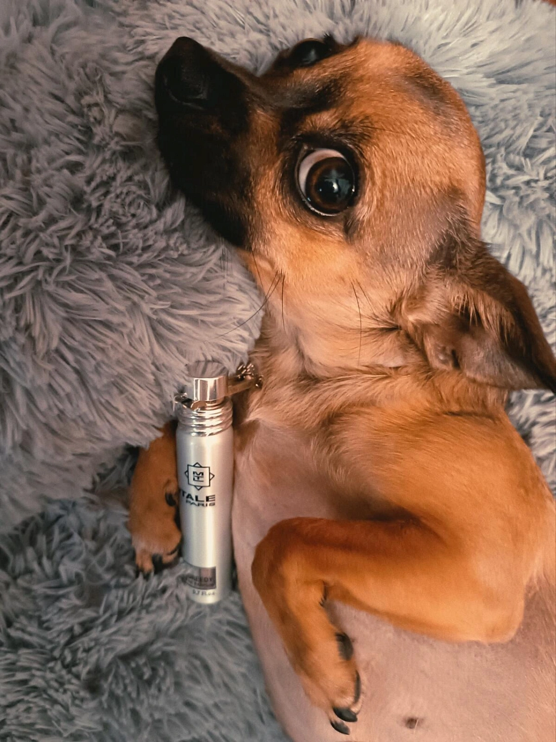 MONTALE Chocolate Greedy