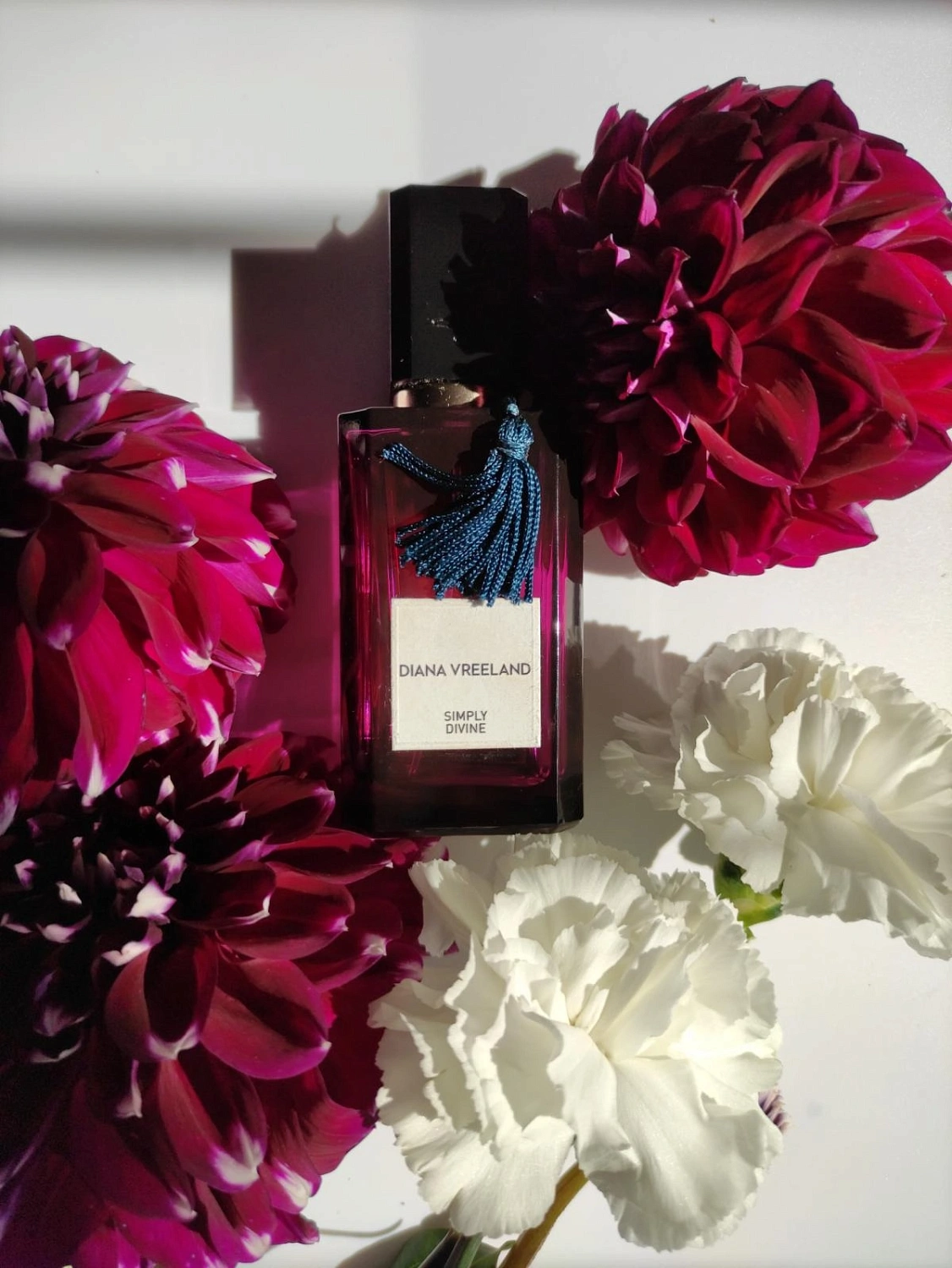 Diana Vreeland Simply Divine