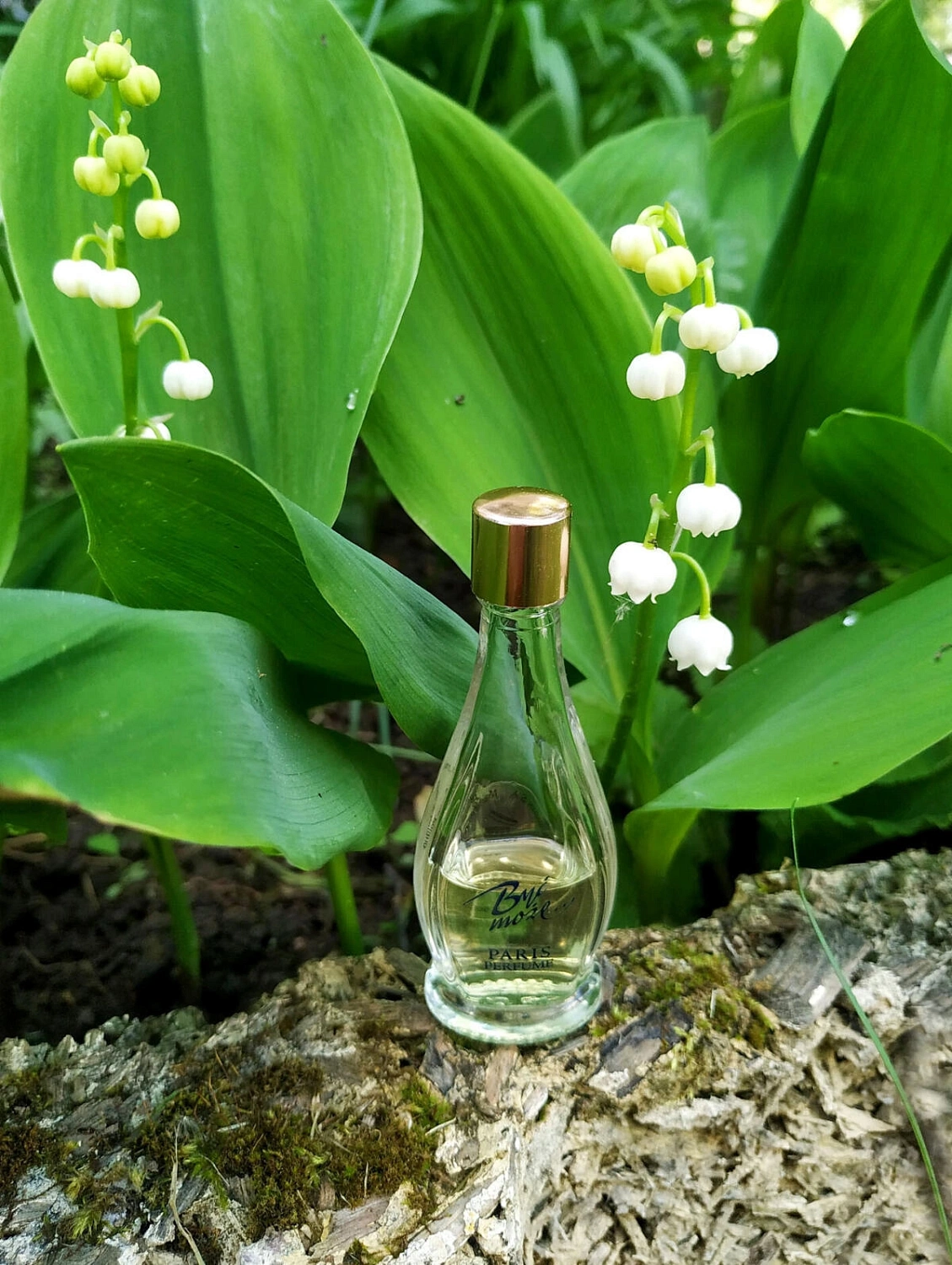 Pani Walewska Byc Moze Paris