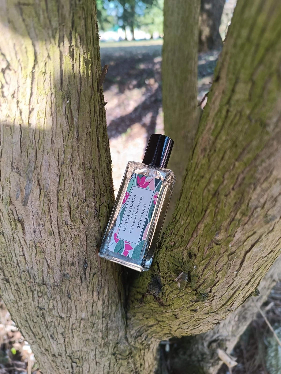 Berdoues Guaria Morada