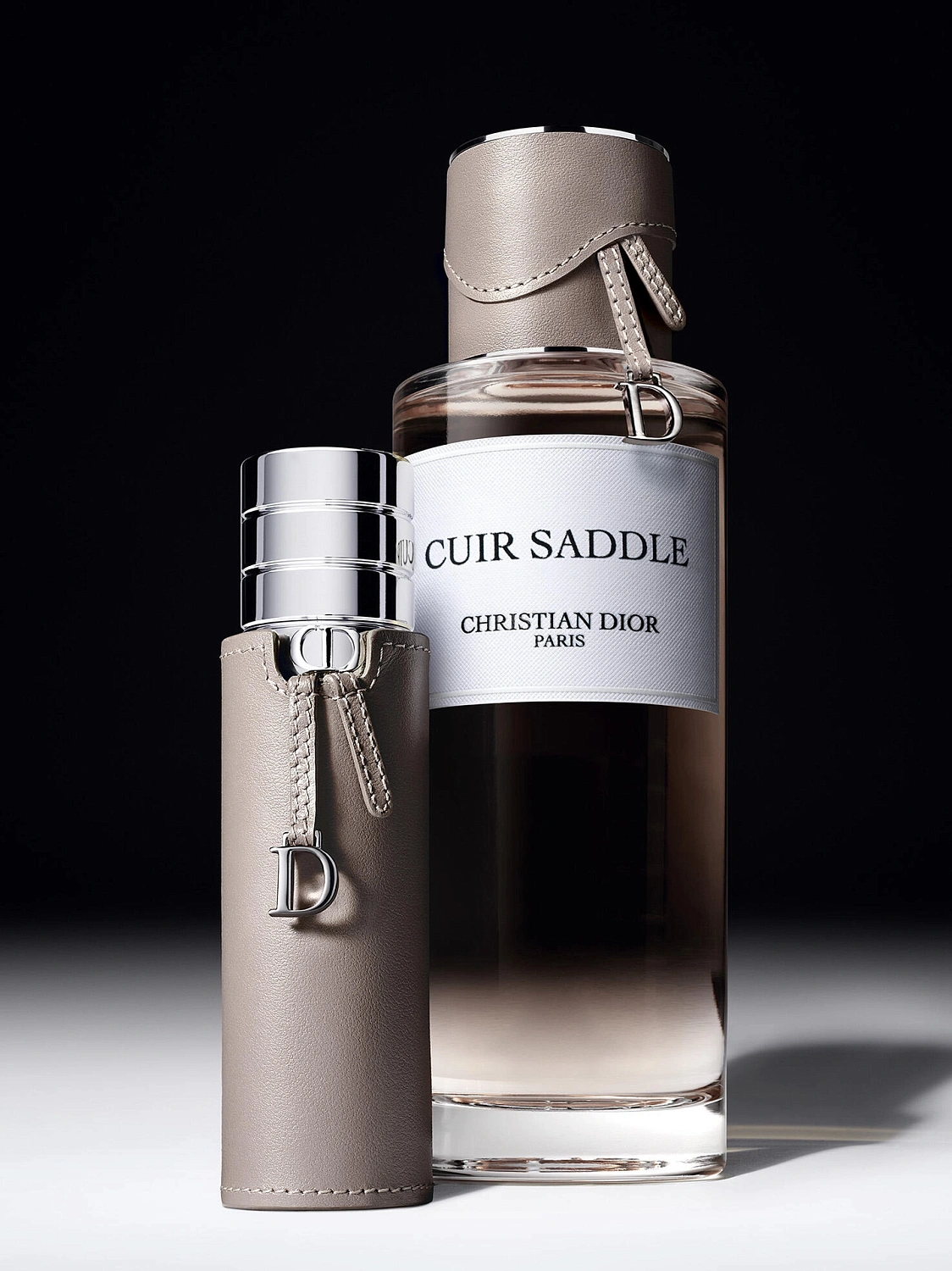 Christian Dior Cuir Saddle
