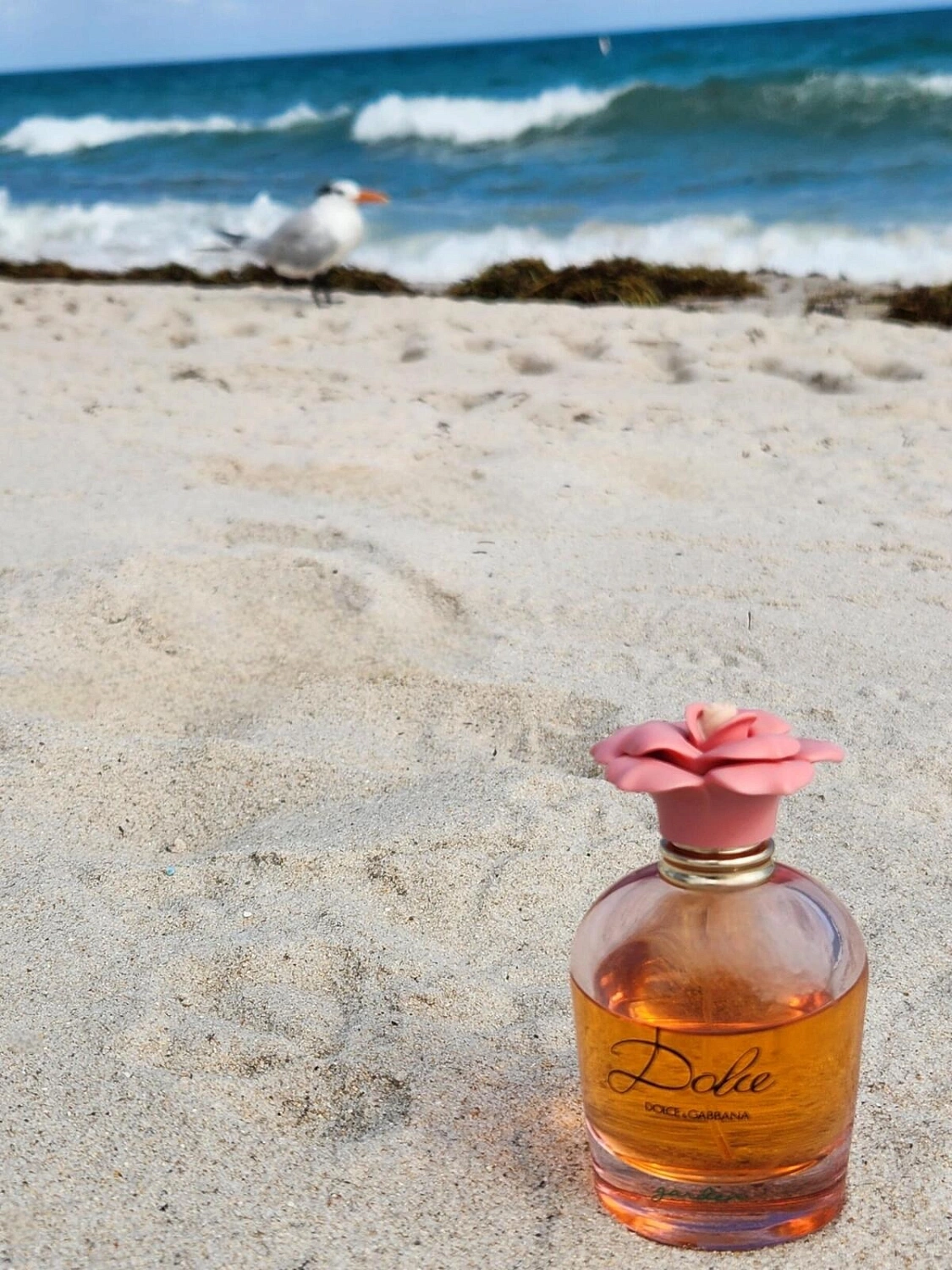 DOLCE & GABBANA Dolce Garden