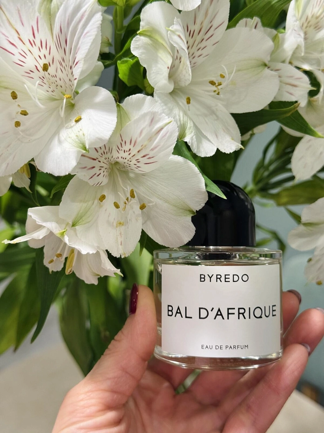 BYREDO Bal d`Afrique