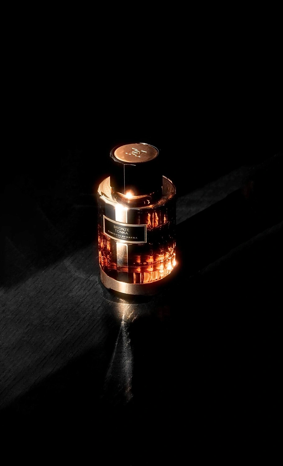 CAROLINA HERRERA Bronze Tonka