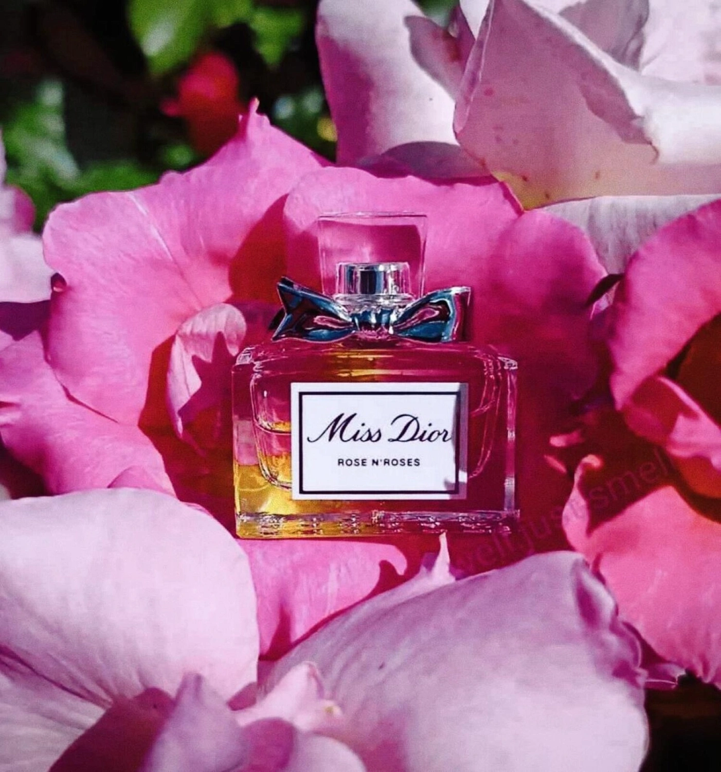 Christian Dior Miss Dior Rose N'Roses