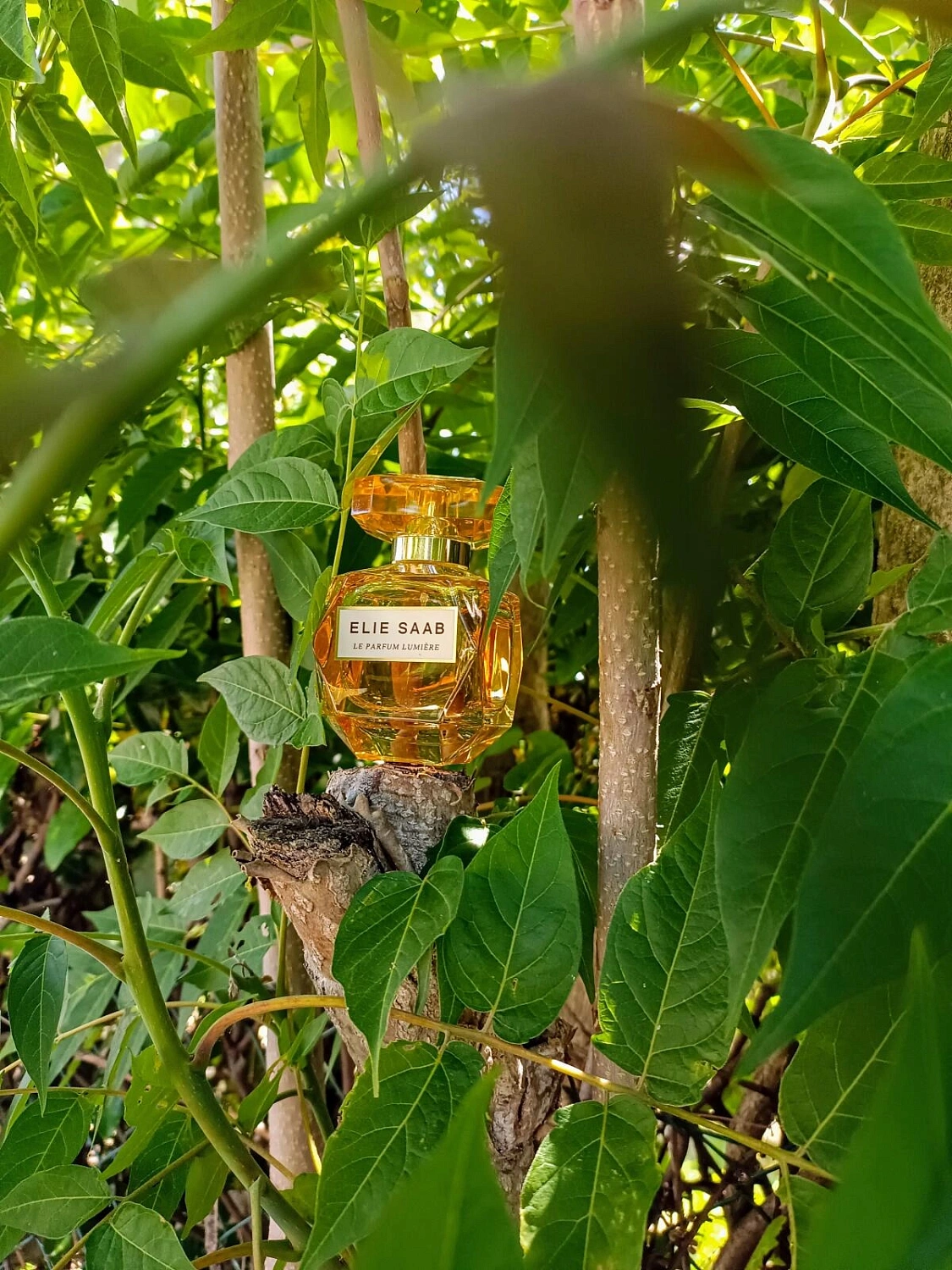 Elie Saab Le Parfum Lumiere