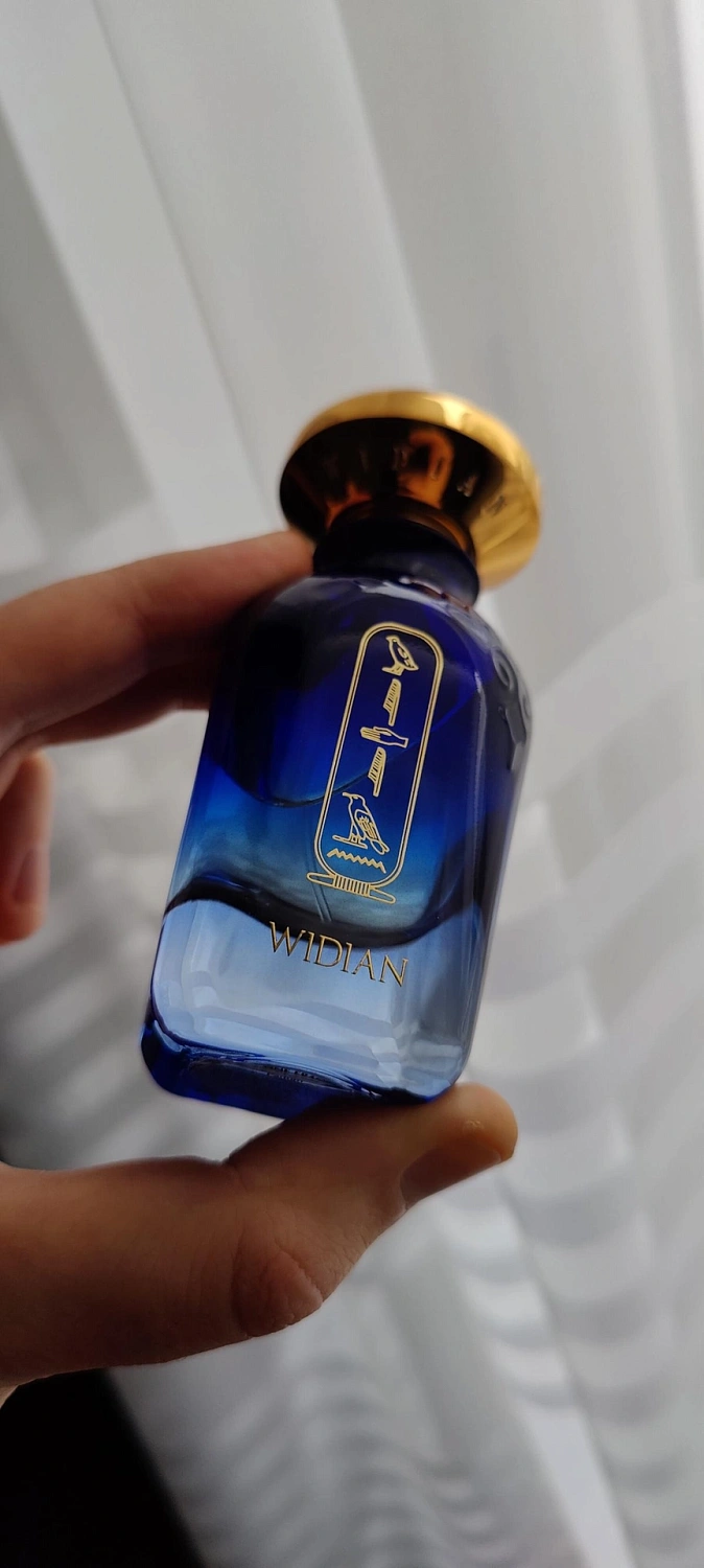 Aj Arabia Widian Aswan