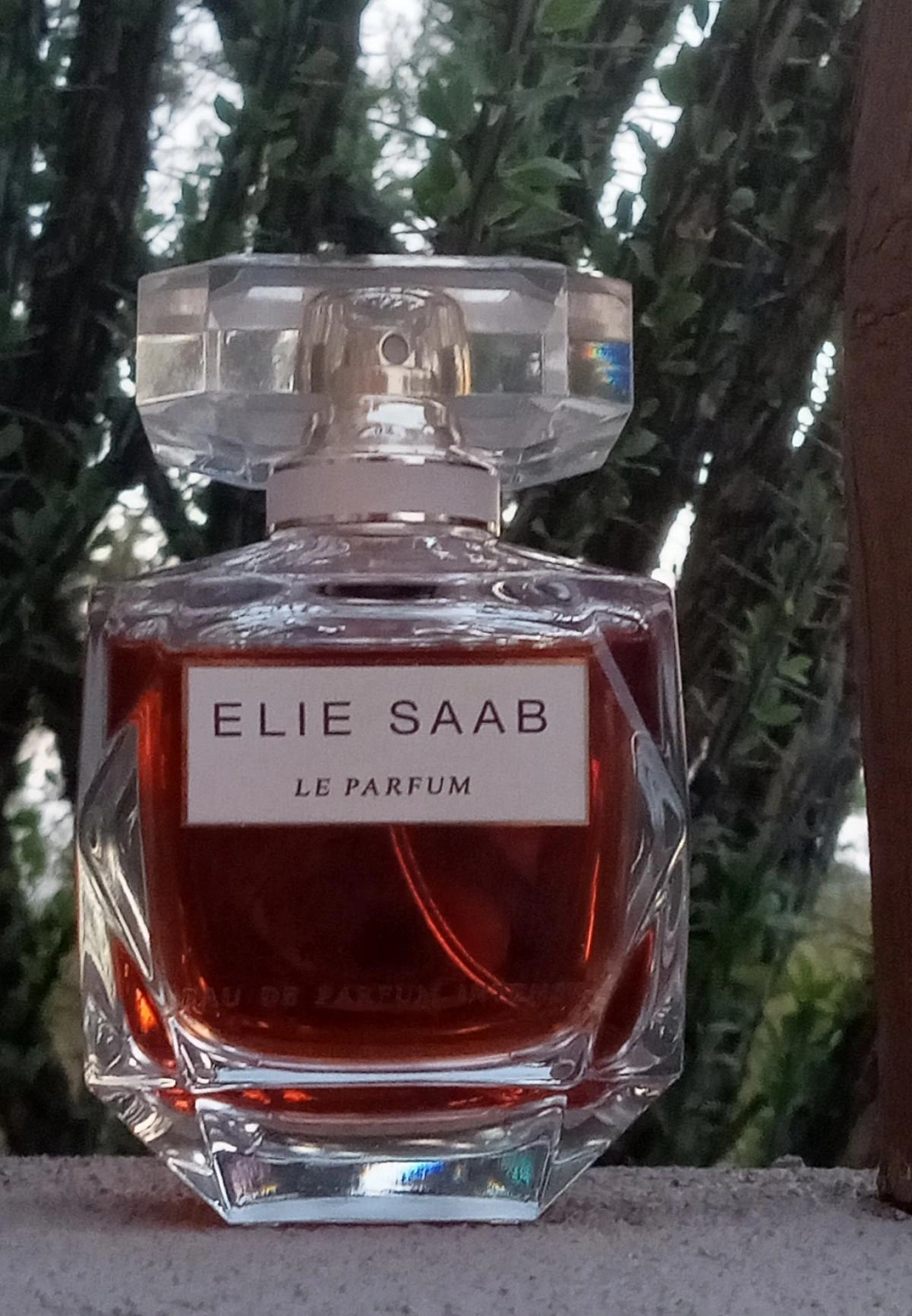 Elie Saab Le Parfum Eau de Parfum Intense