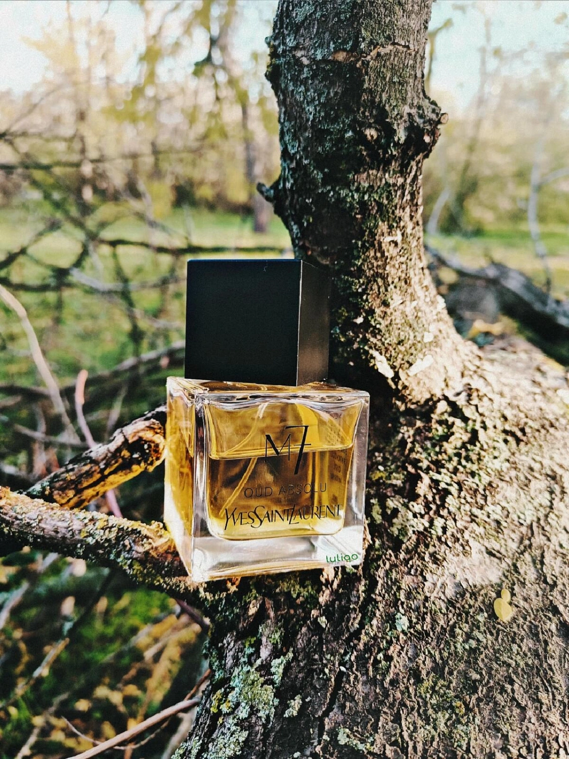 Yves Saint Laurent La Collection M7 Oud Absolu