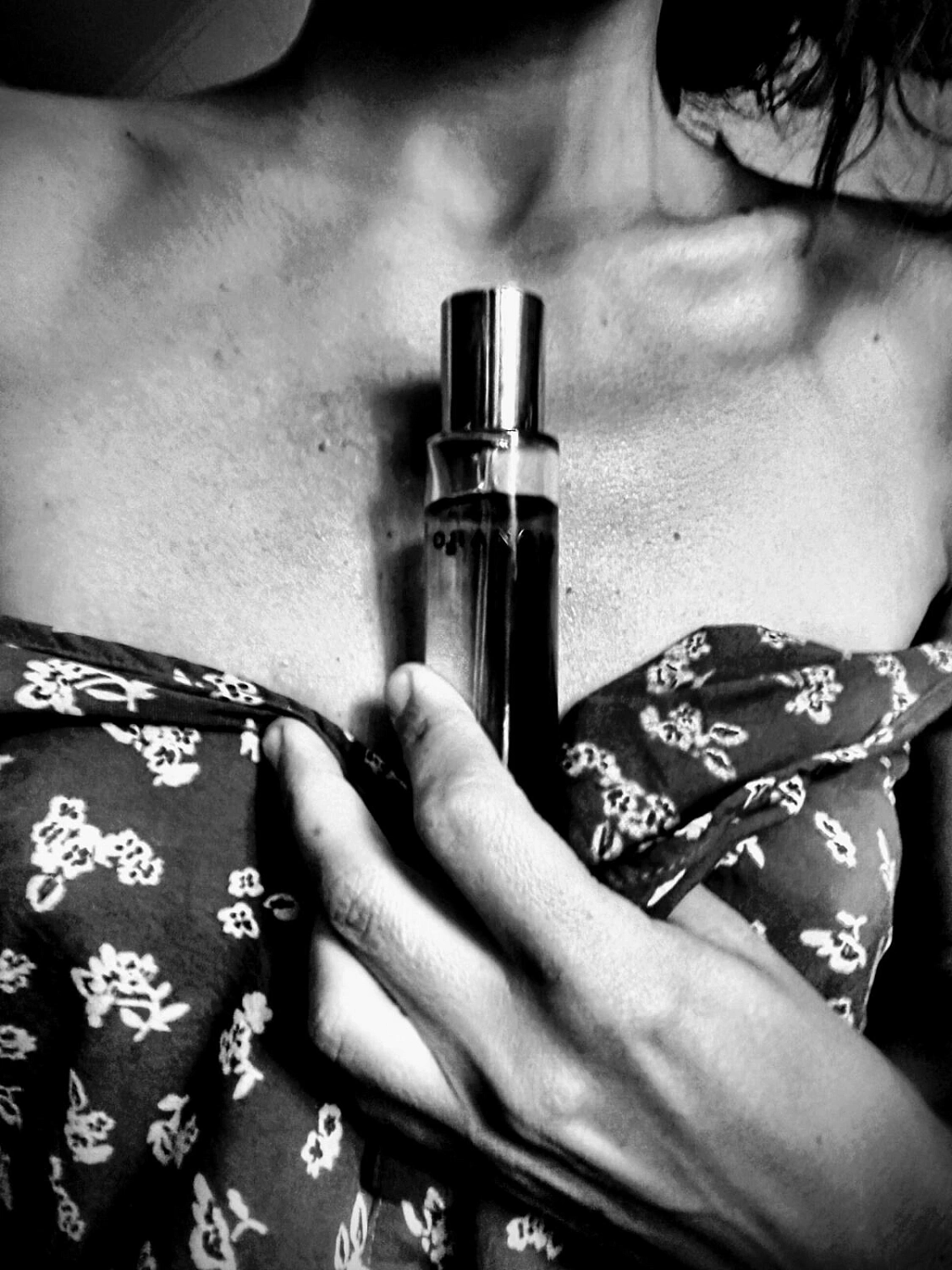 Delarom Orangia Bellissima Delarom Orangia Bellissima