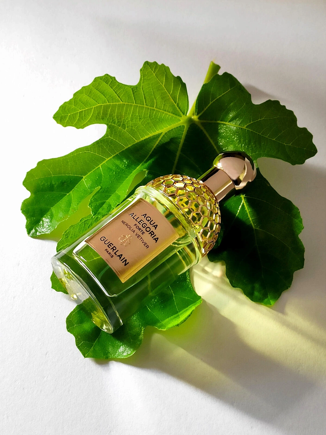 Guerlain Aqua Allegoria Forte Nerolia Vetiver