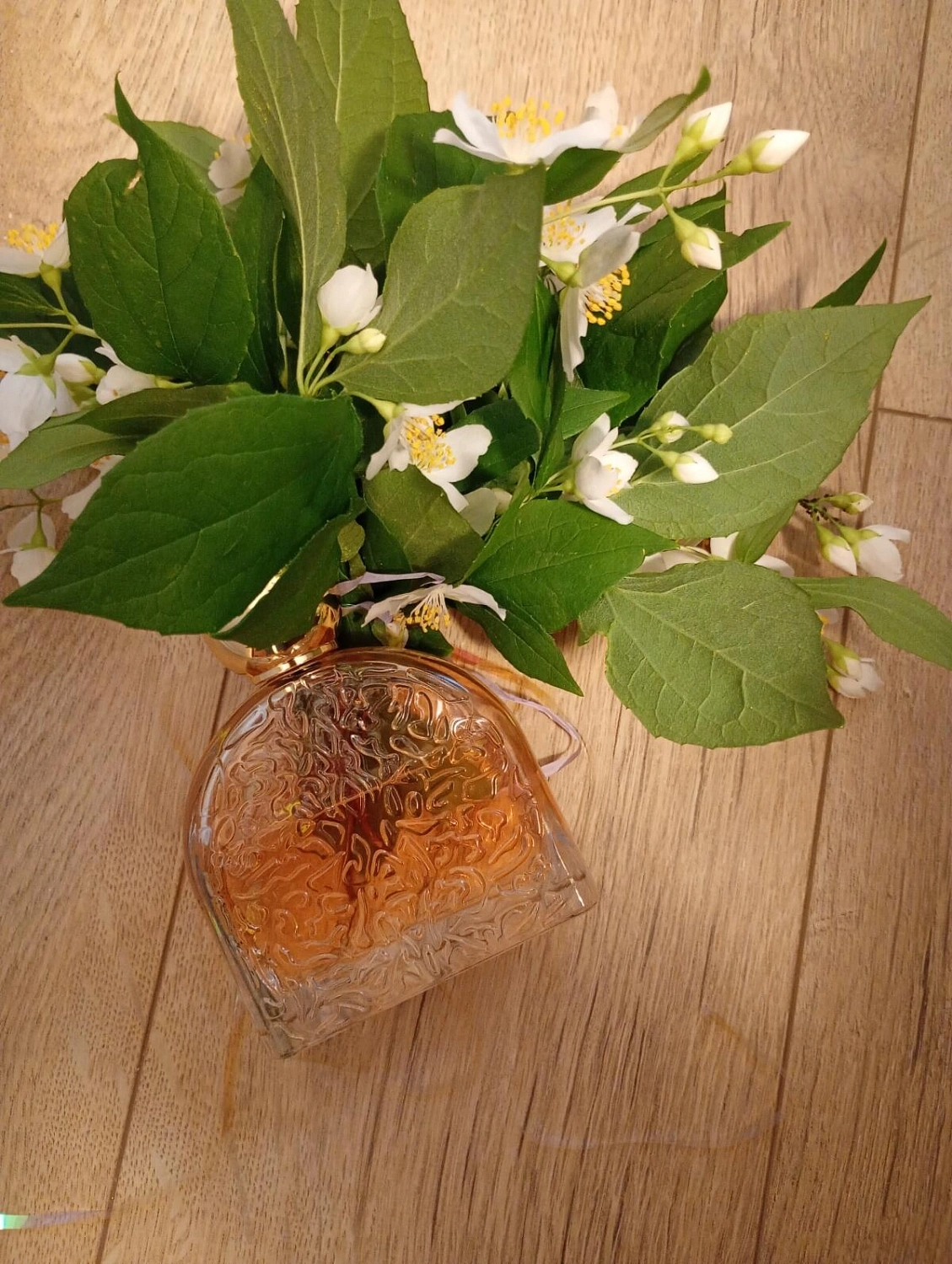 M. Micallef O Feminin