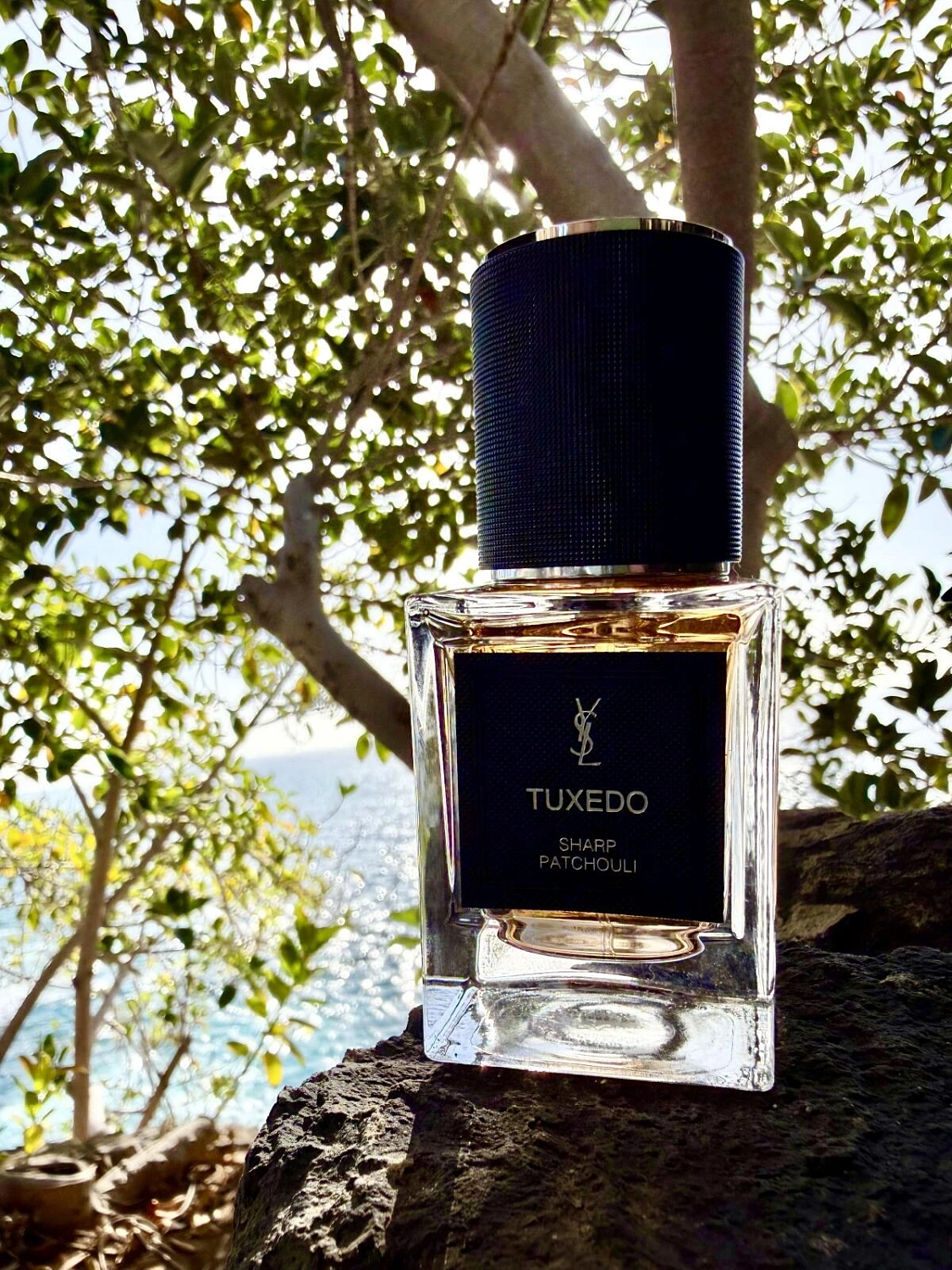 Yves Saint Laurent Tuxedo Sharp-Patchouli