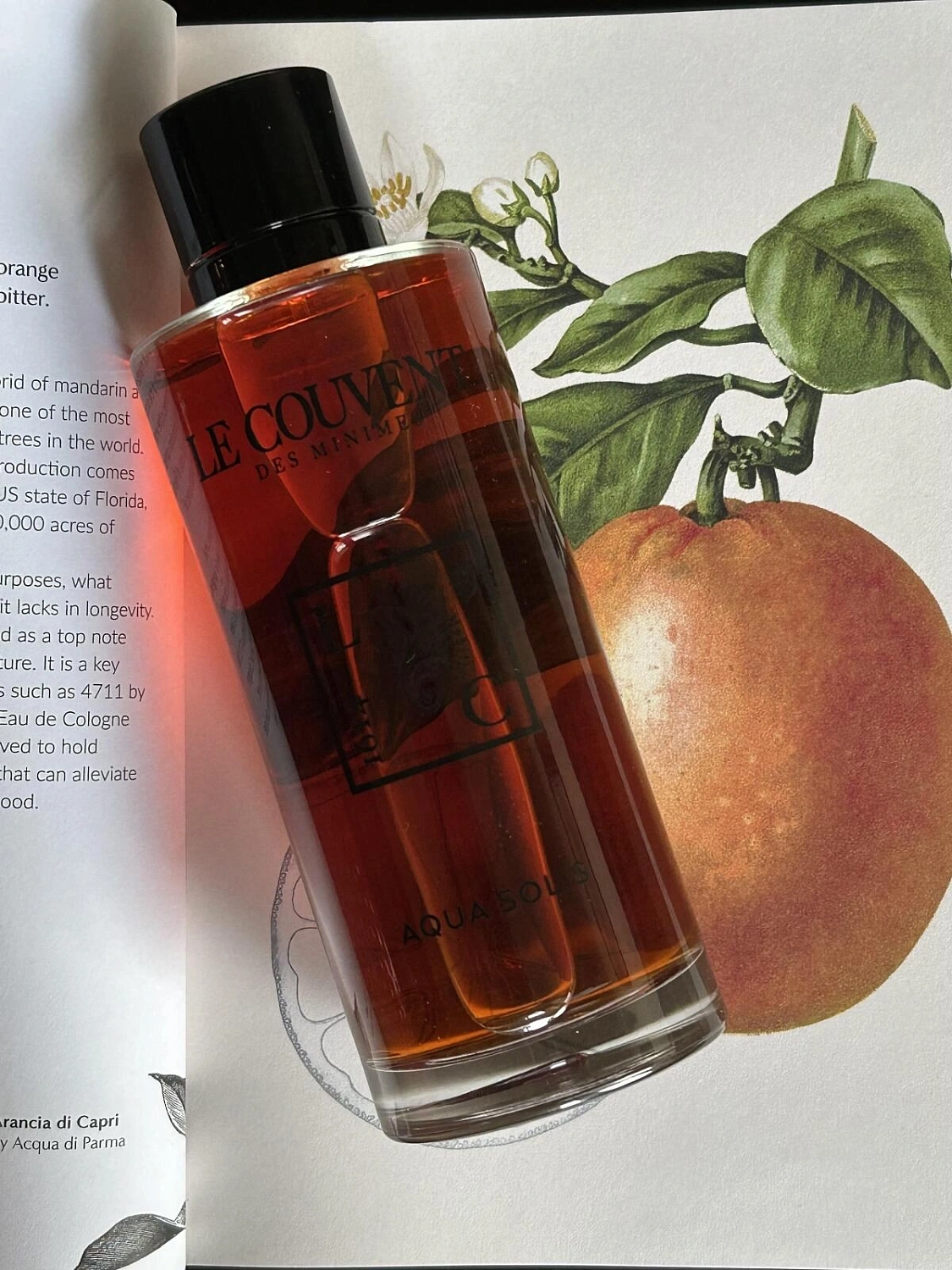 Le Couvent Maison de Parfum Aqua Solis