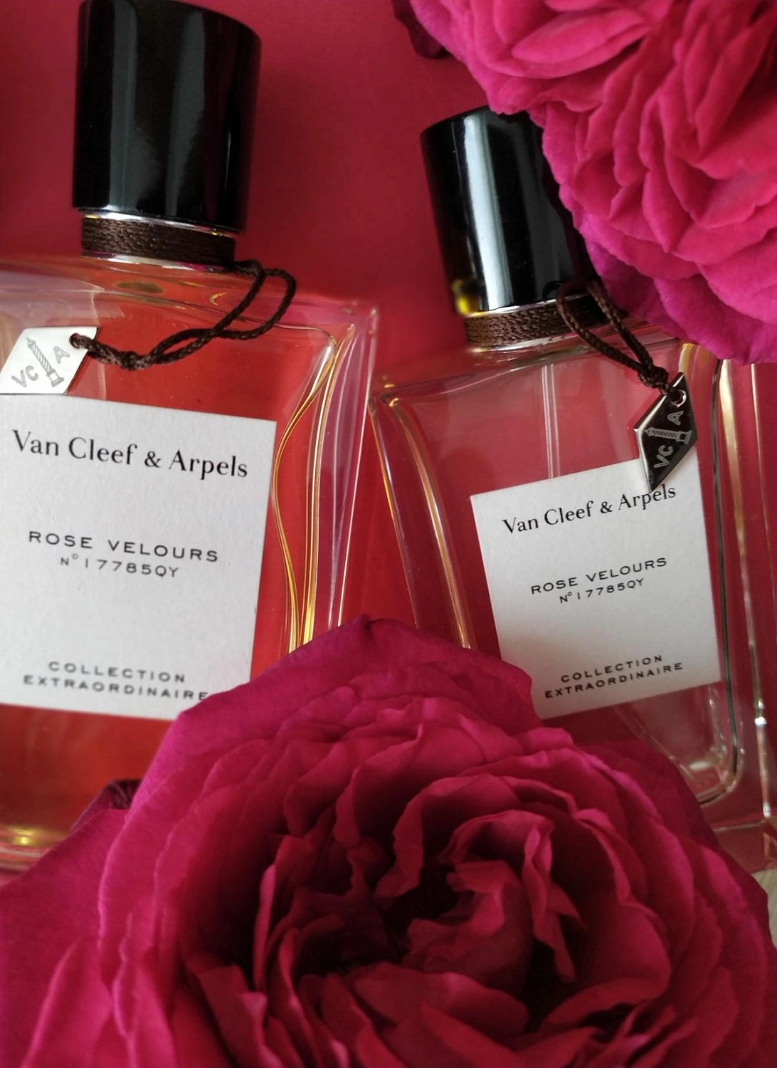 Van Cleef & Arpels Collection Extraordinaire Rose Velours