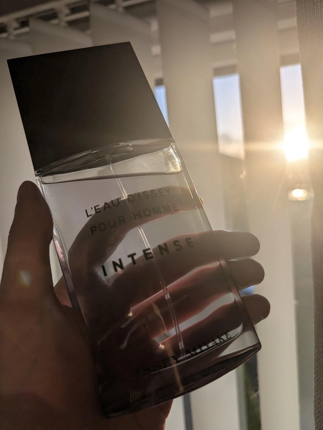 Issey Miyake L'eau d'Issey pour Homme Intense