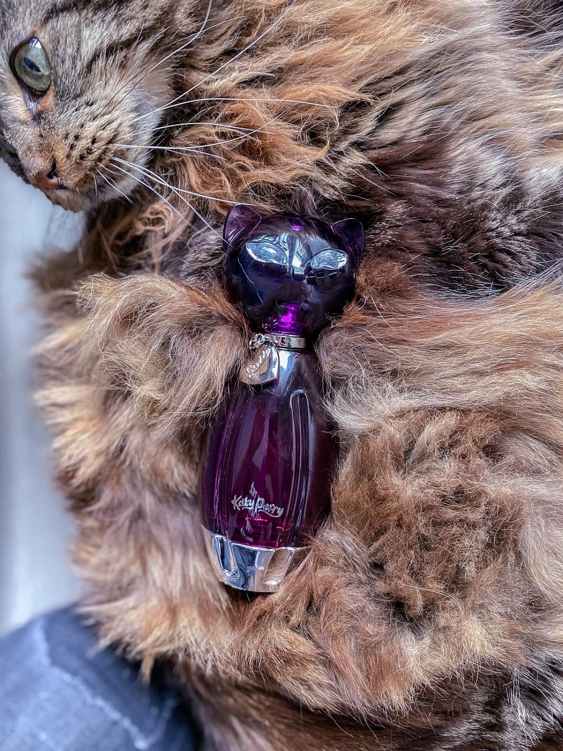 Katy Perry Purr