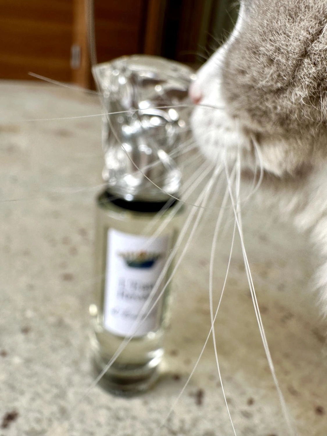 Sisley L'Eau Revee D'Hubert