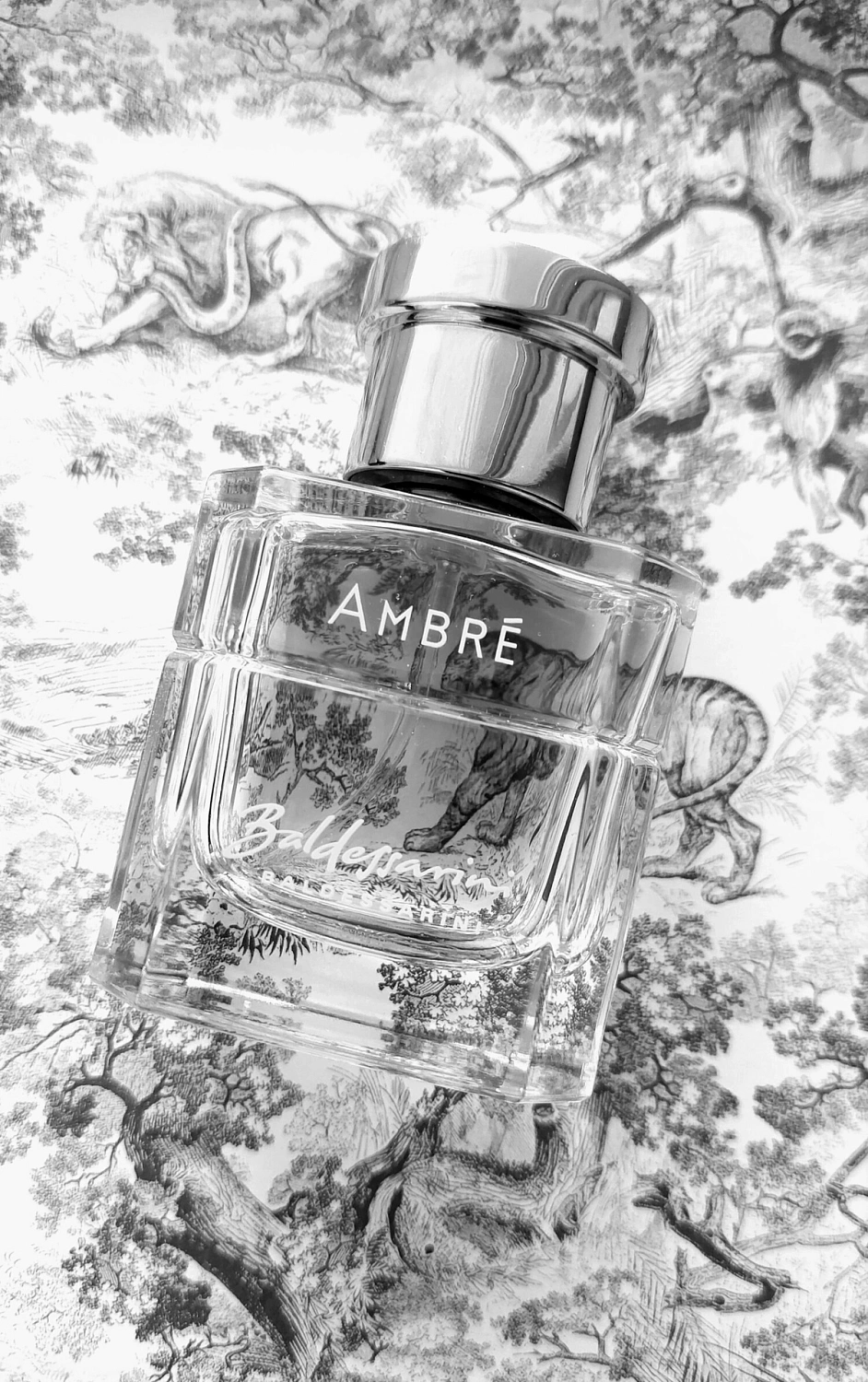 Baldessarini Ambre