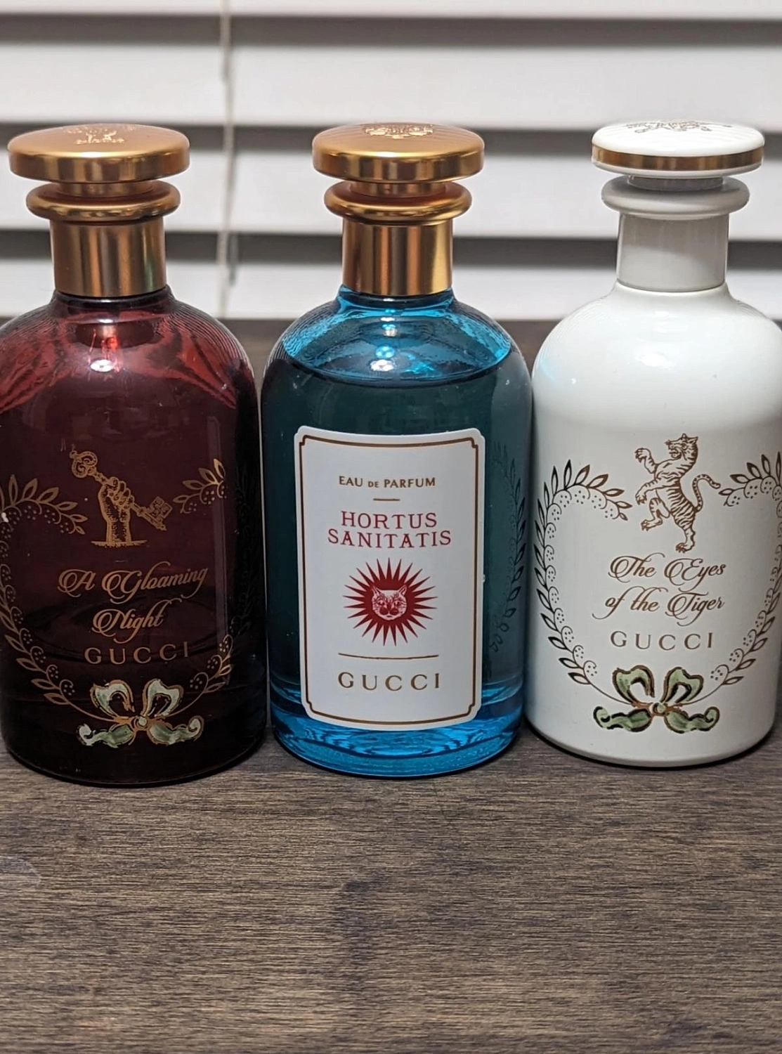 GUCCI A Gloaming Night