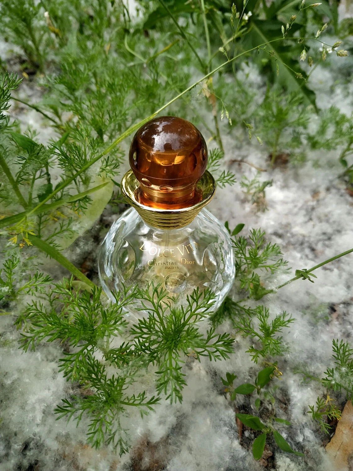 Christian Dior Dolce Vita