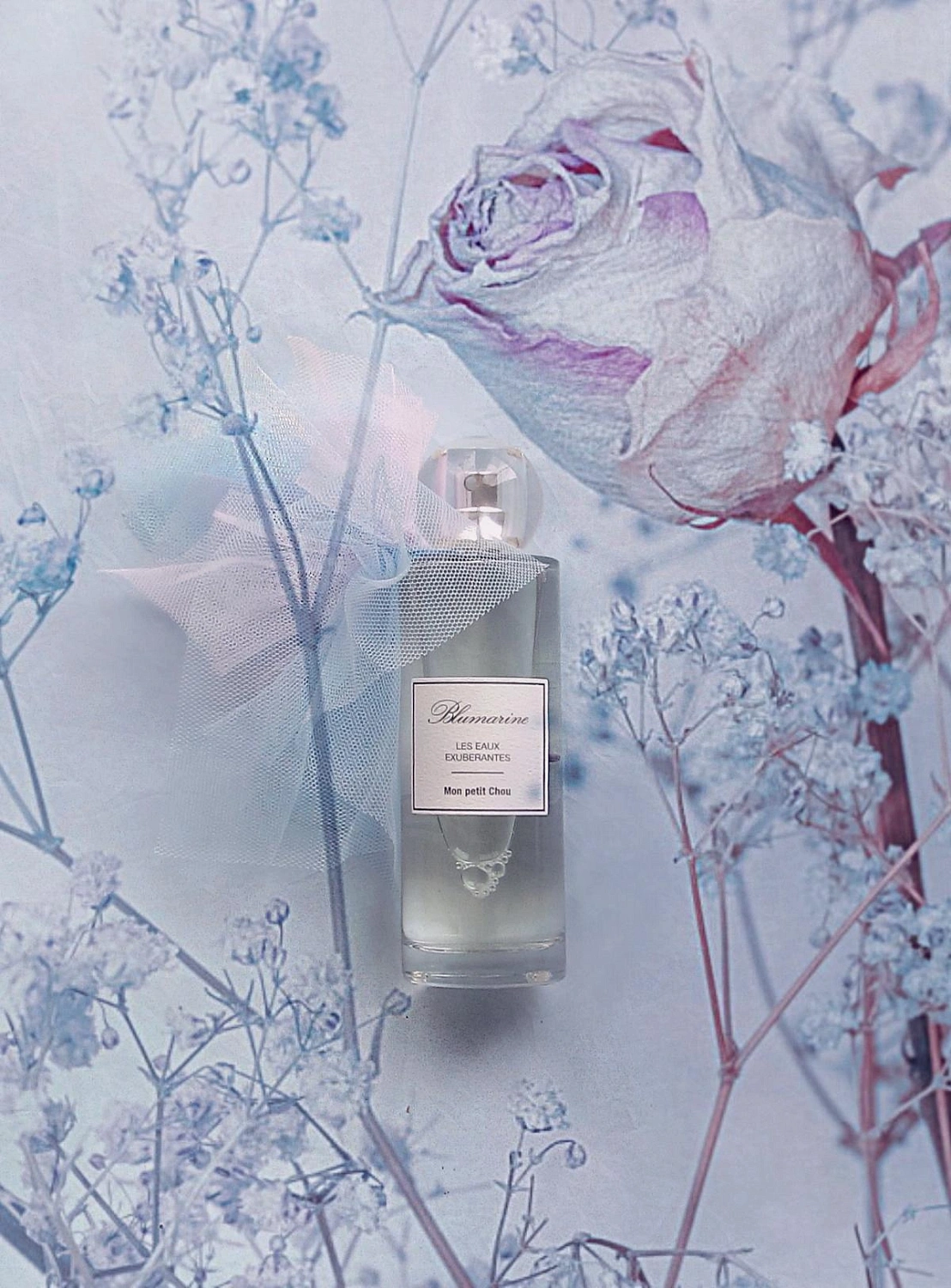 Blumarine Mon Petit Chou