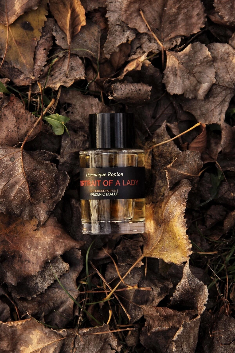 Frederic Malle Portrait of a Lady