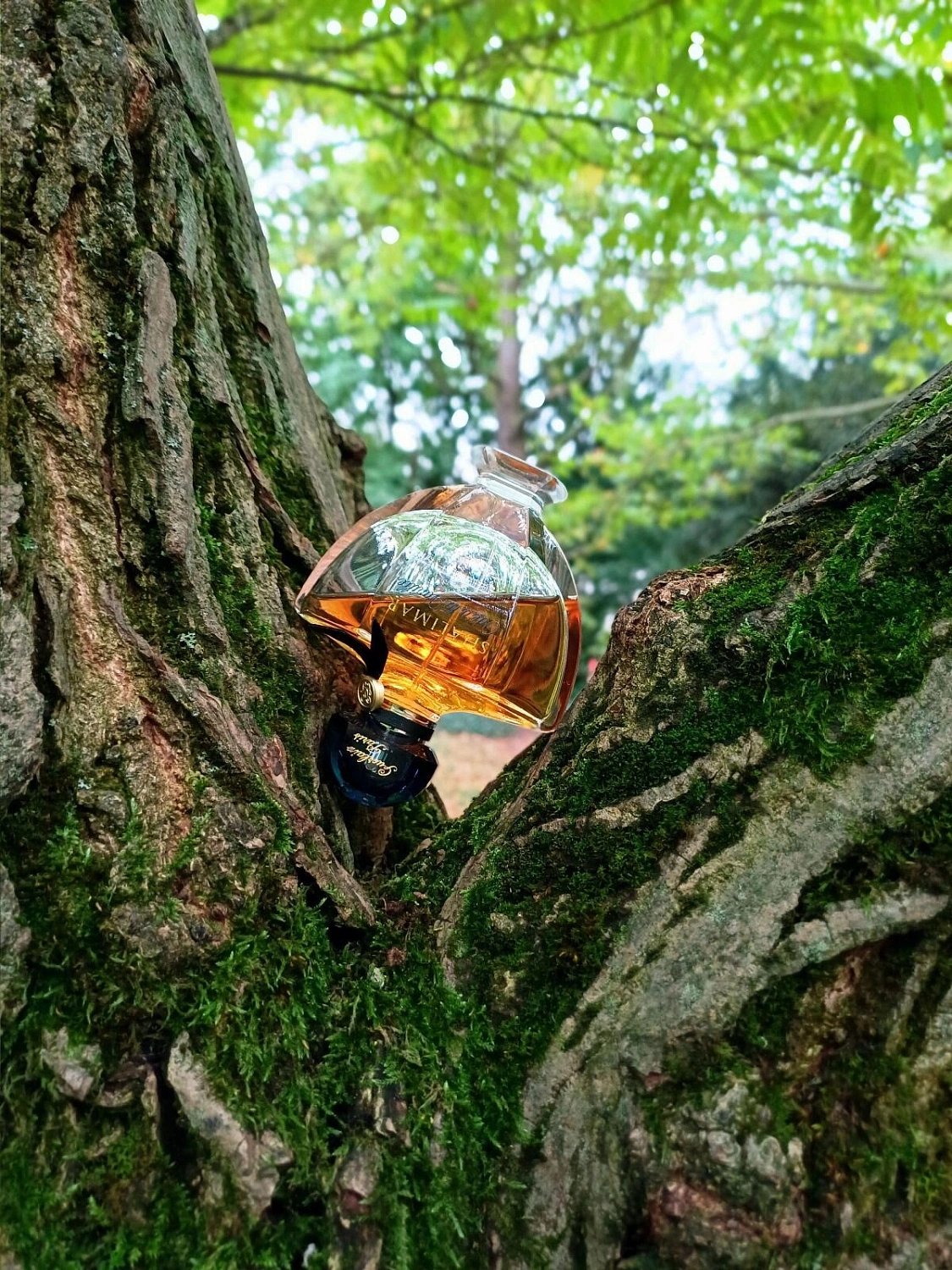 Guerlain Shalimar Ode a la Vanille Sur la Route du Mexique