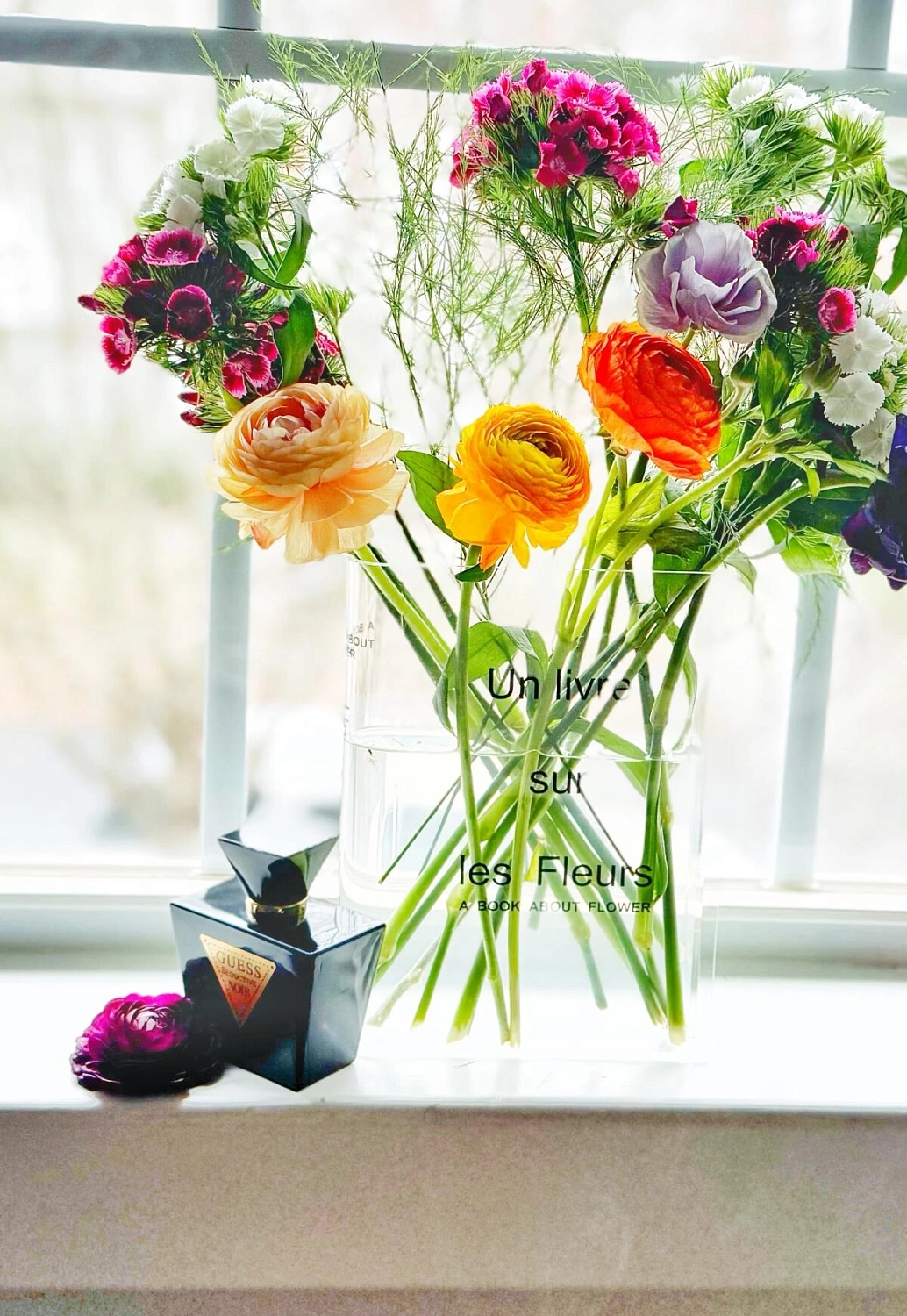 Guess Seductive Noir