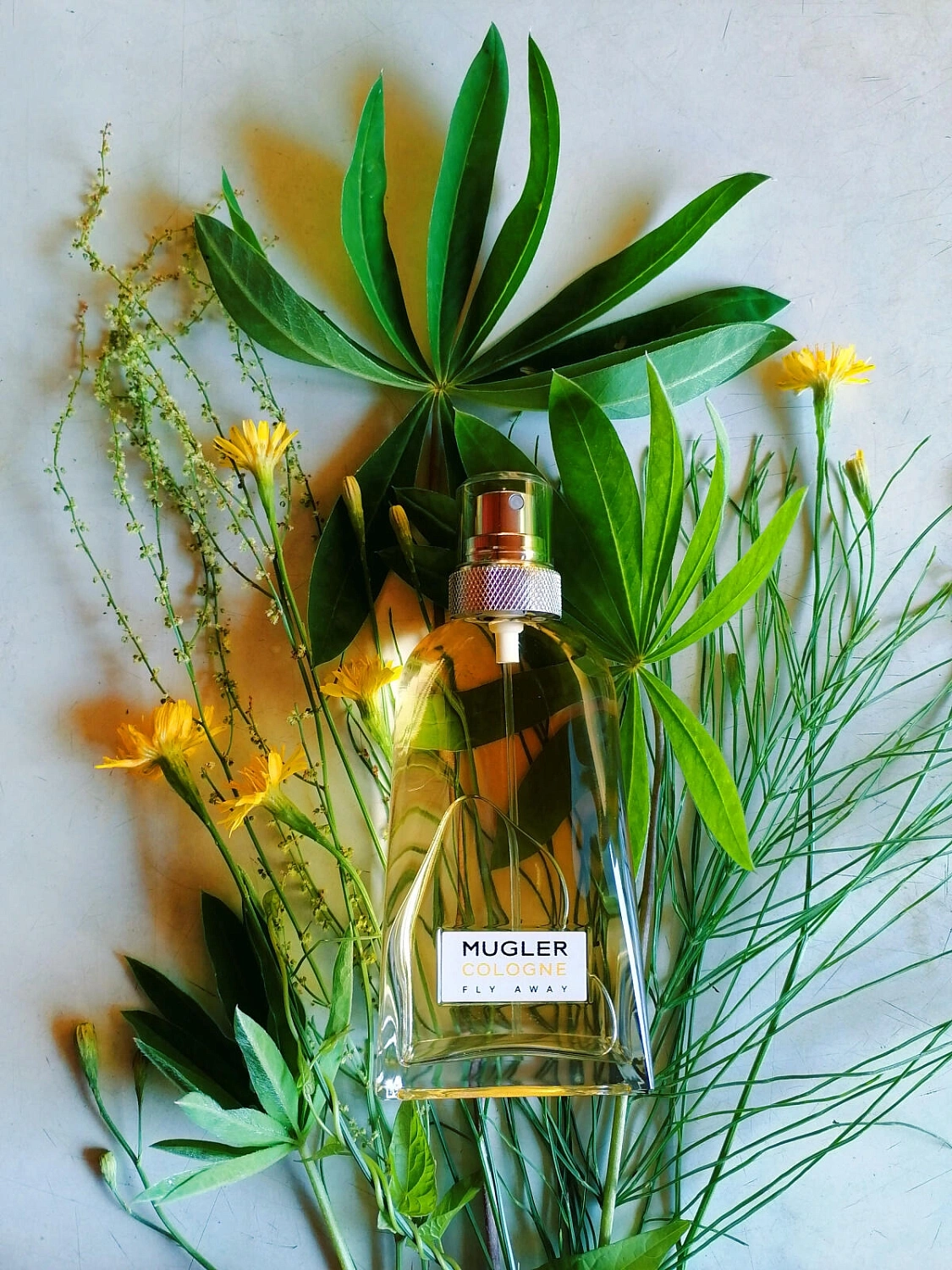 Mugler Cologne Fly Away