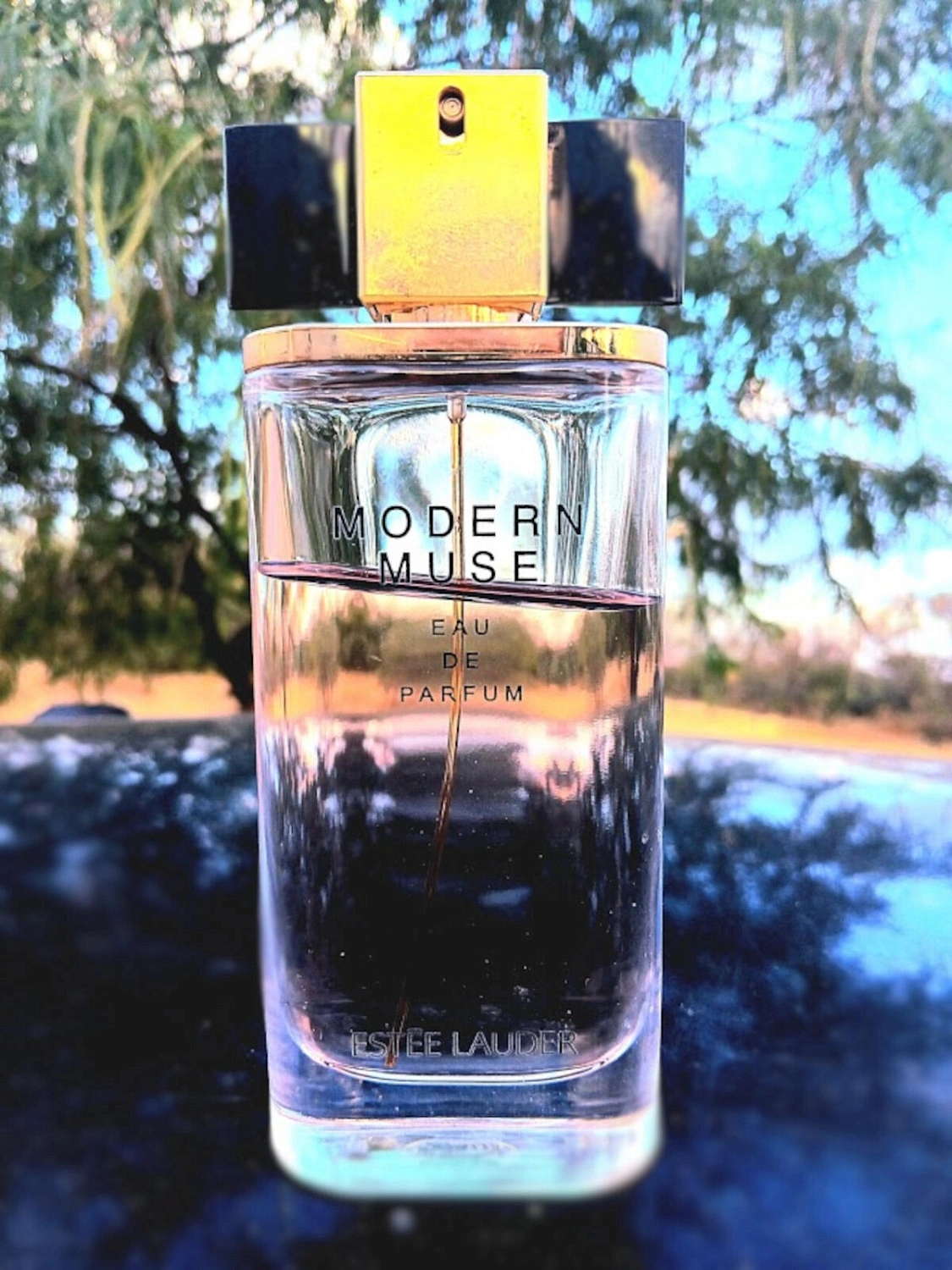 Estee Lauder Modern Muse