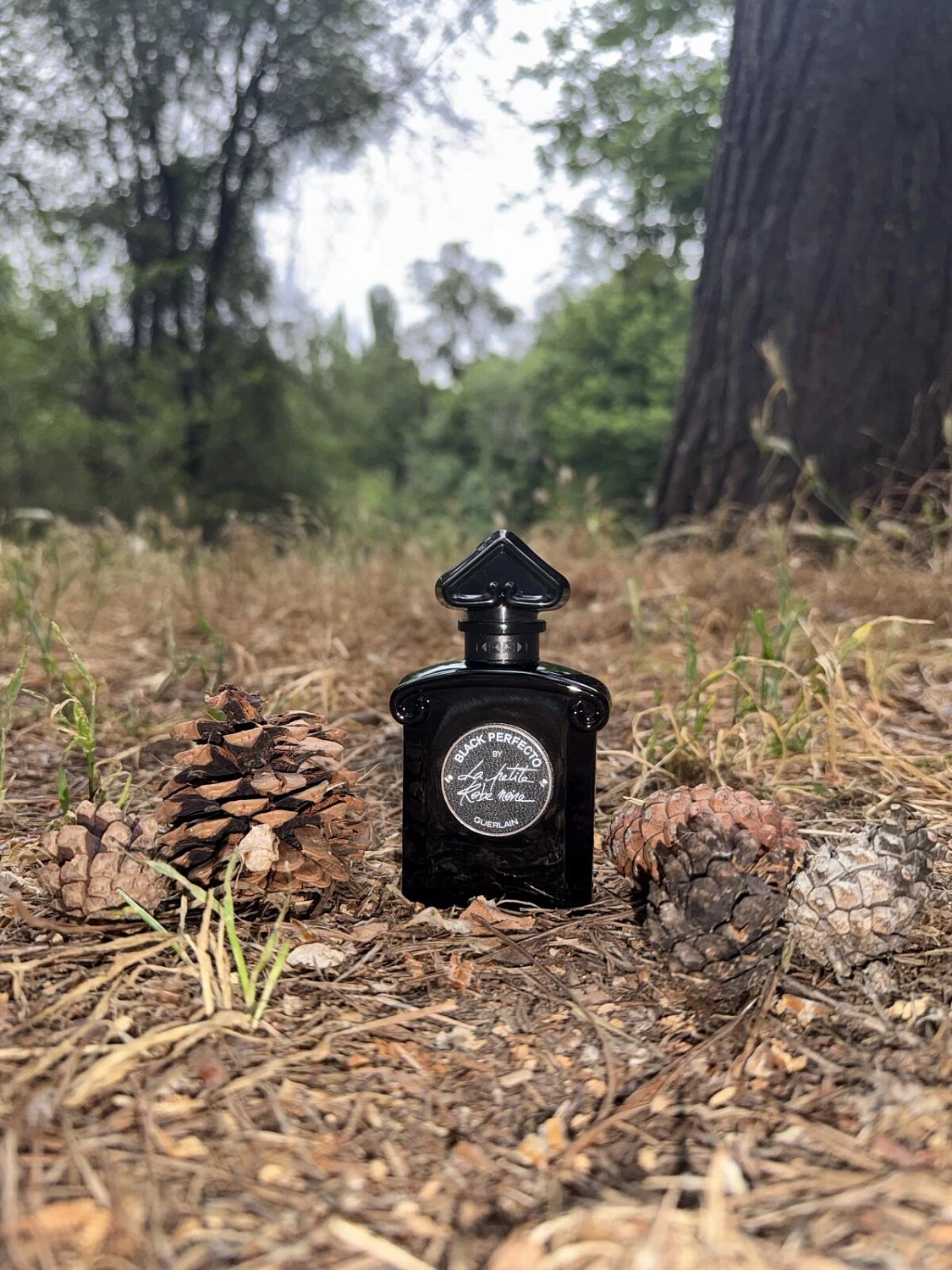 Guerlain Black Perfecto by La Petite Robe Noire