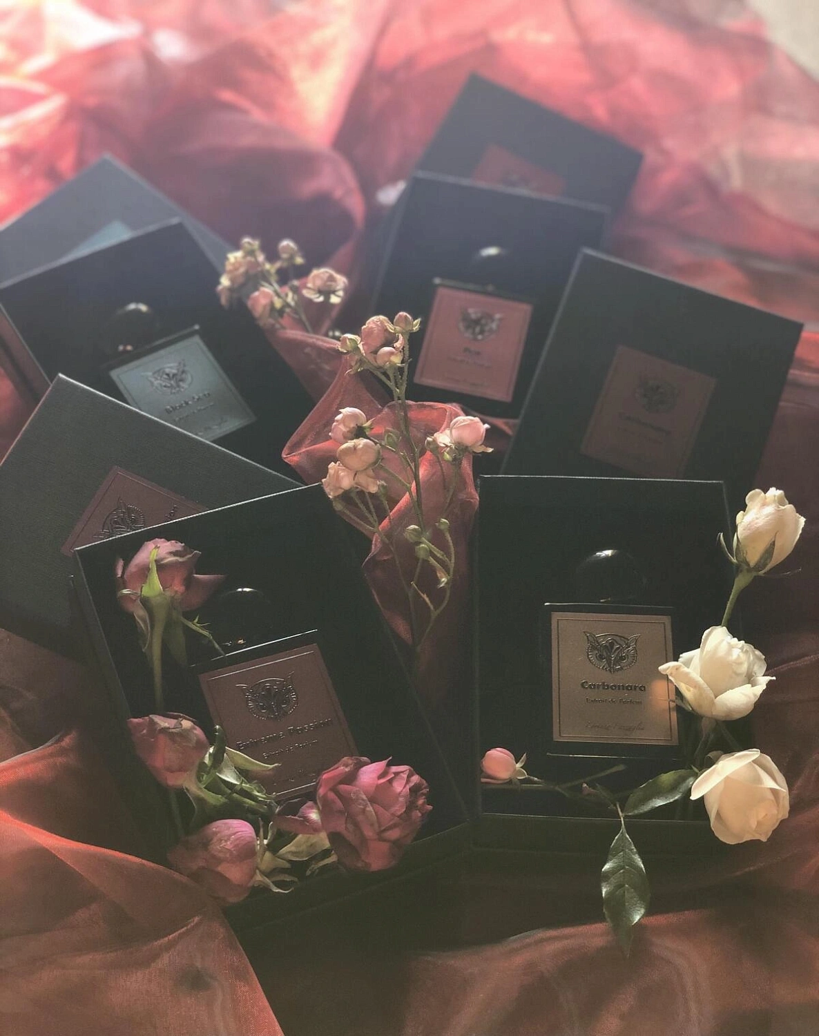 Lorenzo Pazzaglia Extreme Passion