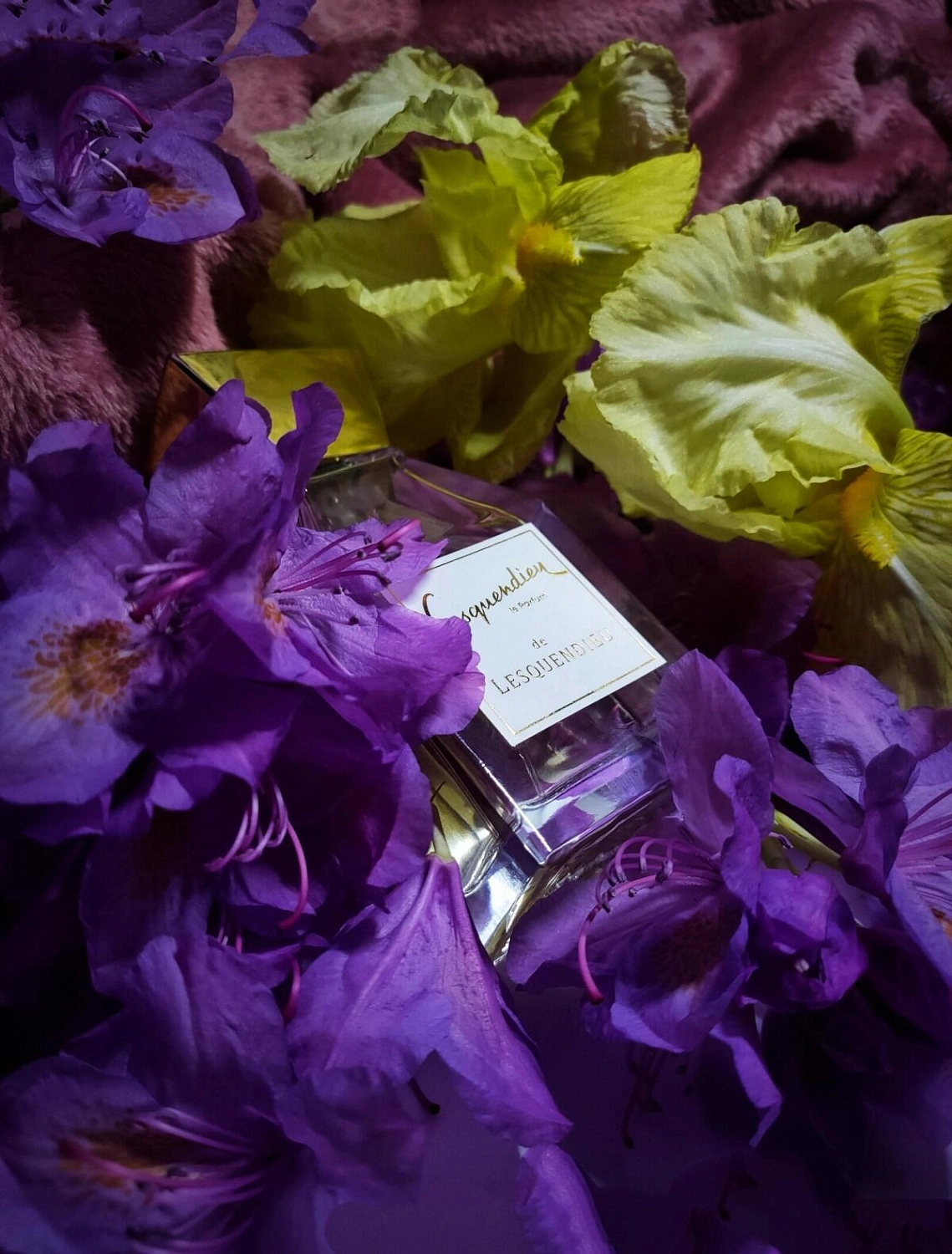 Lesquendieu Le Parfum