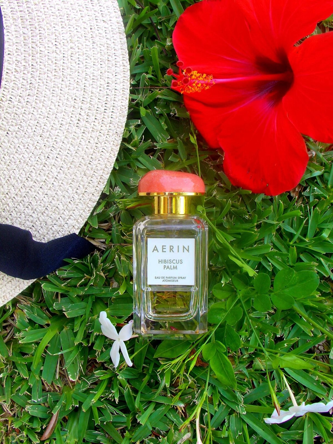 AERIN Hibiscus Palm AERIN Hibiscus Palm