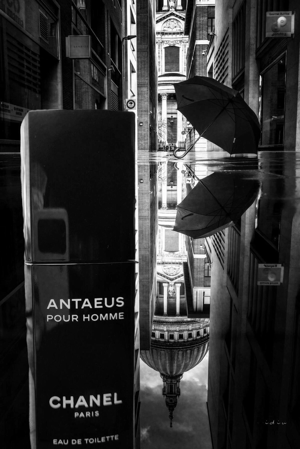 Chanel Antaeus Chanel Antaeus