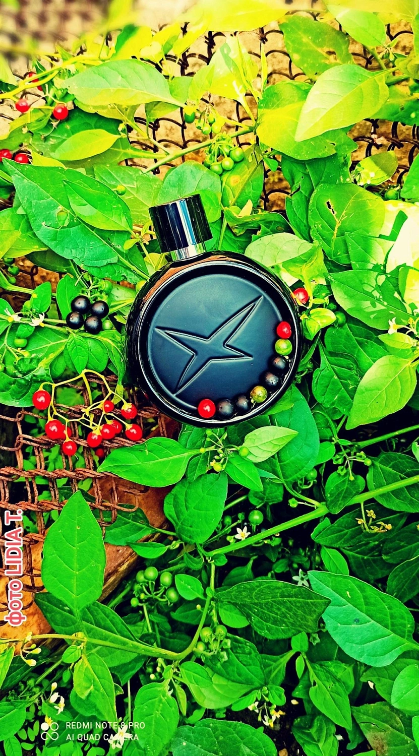 Mauboussin Une Historie d'Homme Irresistible