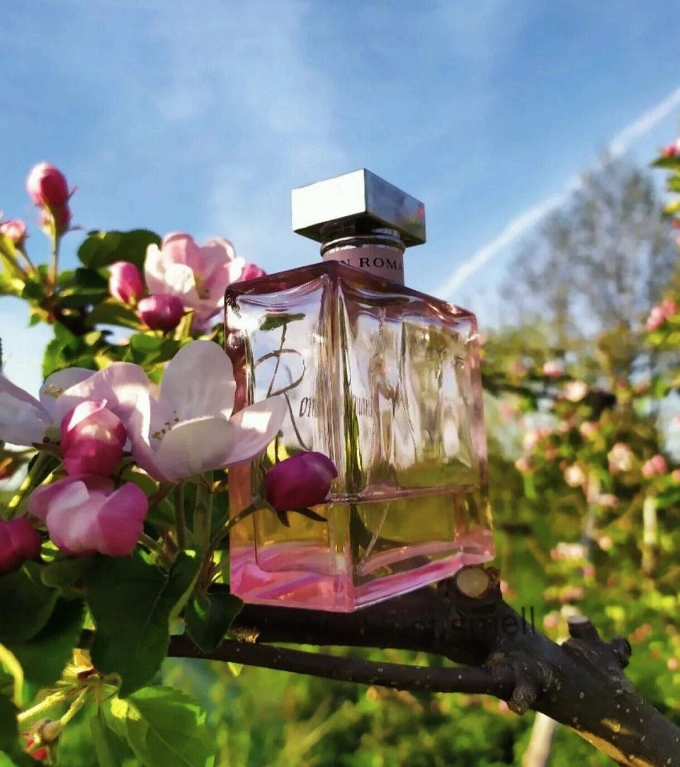 Ralph Lauren Romance