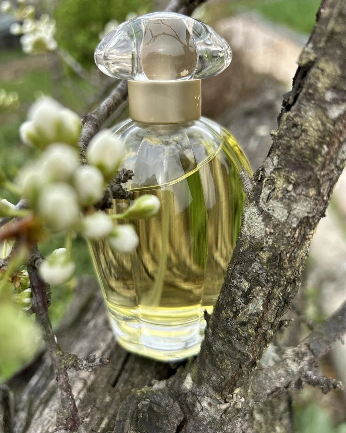 Oscar de la Renta So de la Renta