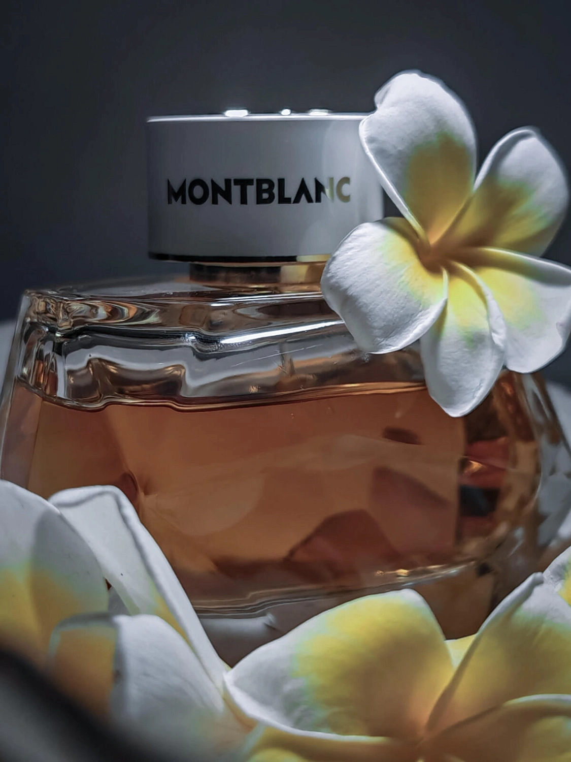 Montblanc Signature Absolue